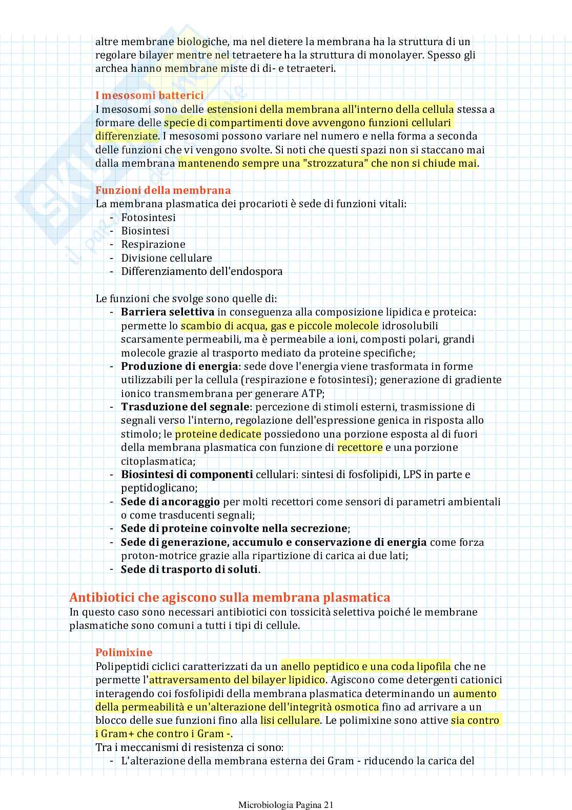Appunti di Microbiologia Pag. 21