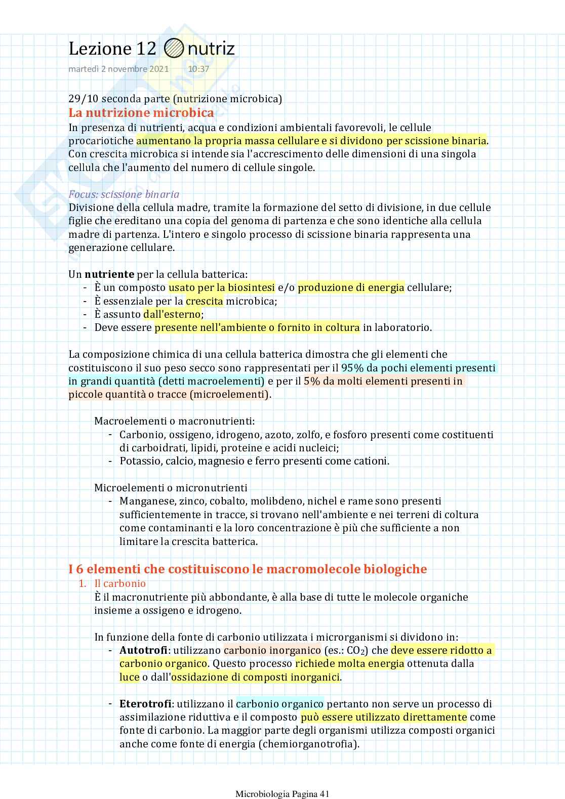 Appunti di Microbiologia Pag. 41