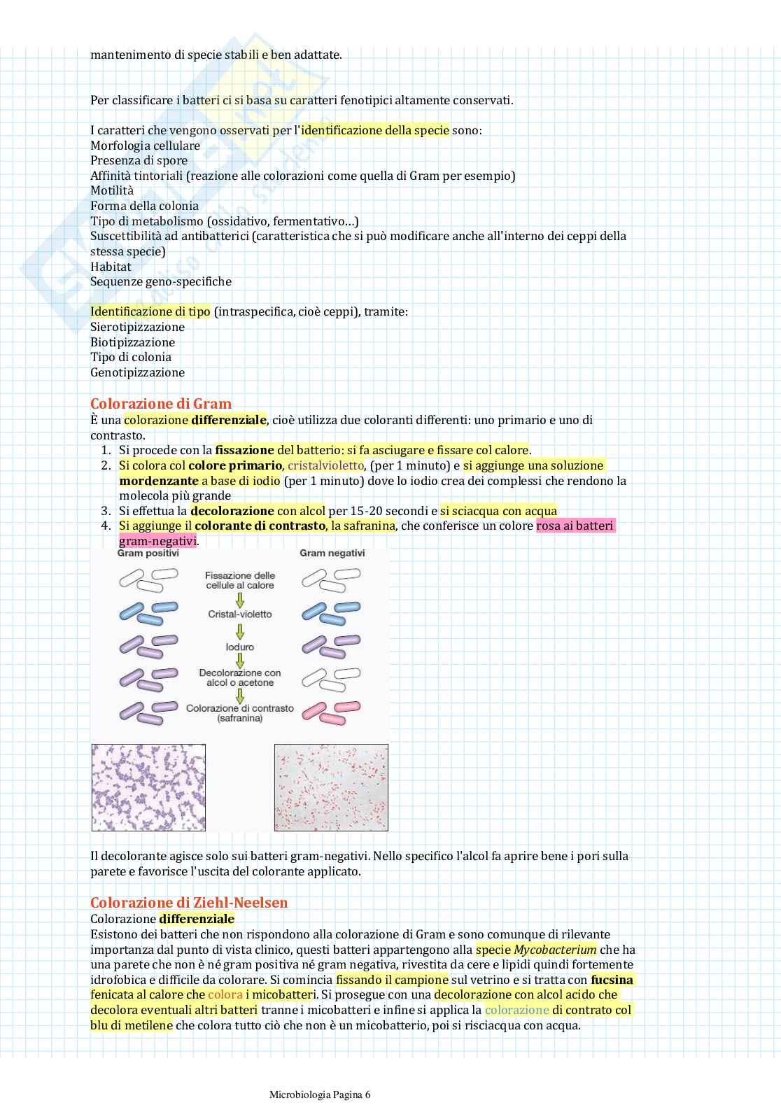 Appunti di Microbiologia Pag. 6