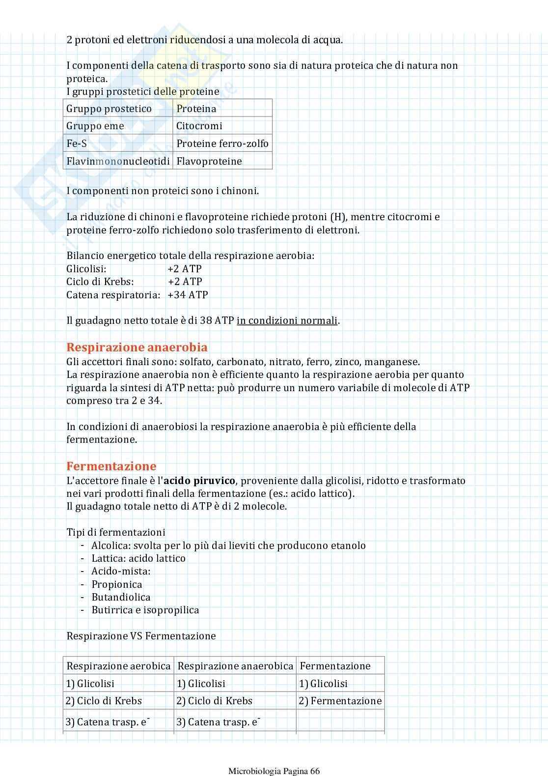 Appunti di Microbiologia Pag. 66
