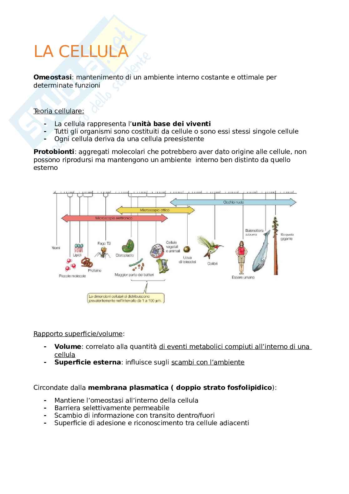 Appunti Biologia generale Pag. 1