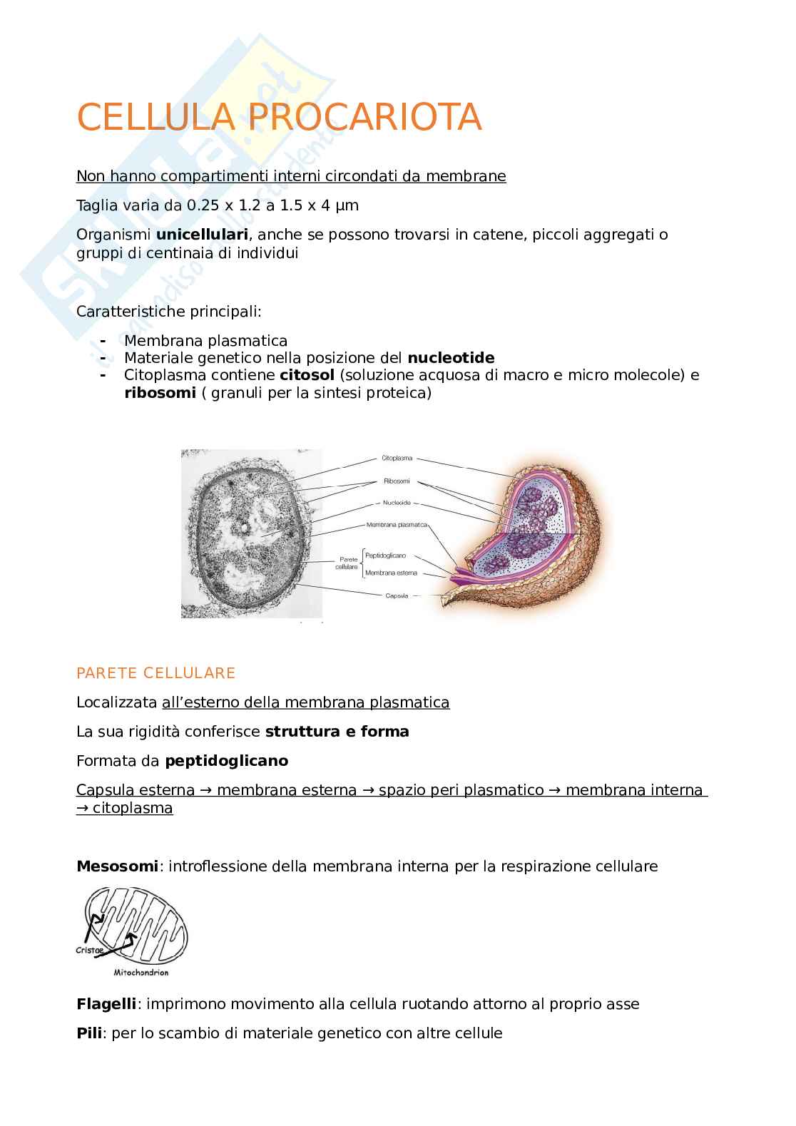 Appunti Biologia generale Pag. 2