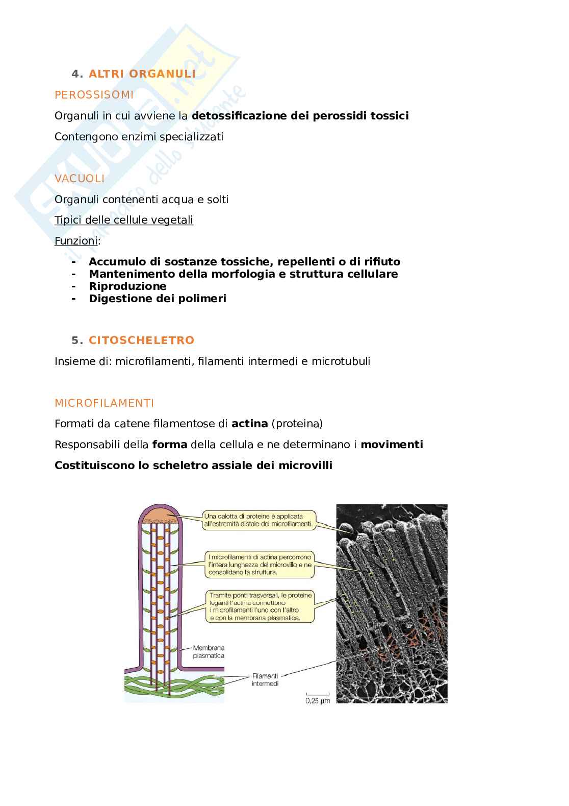 Appunti Biologia generale Pag. 6