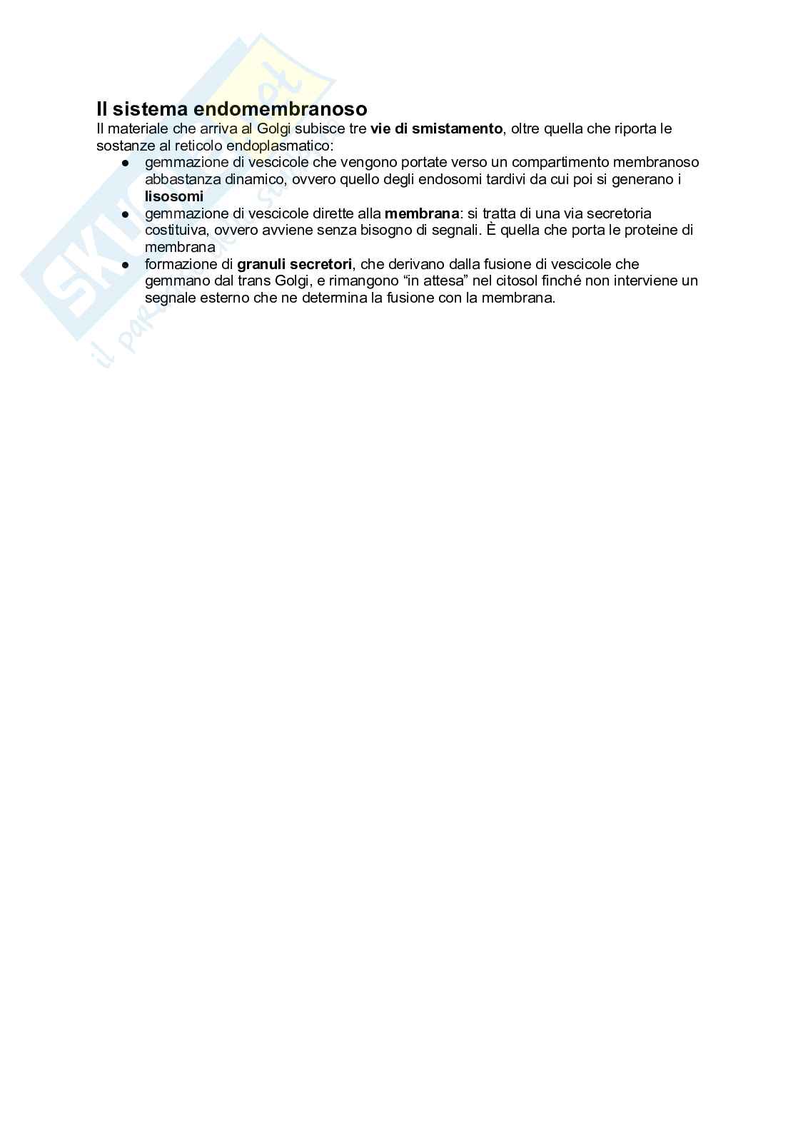 Sesta parte appunti biologia Pag. 6