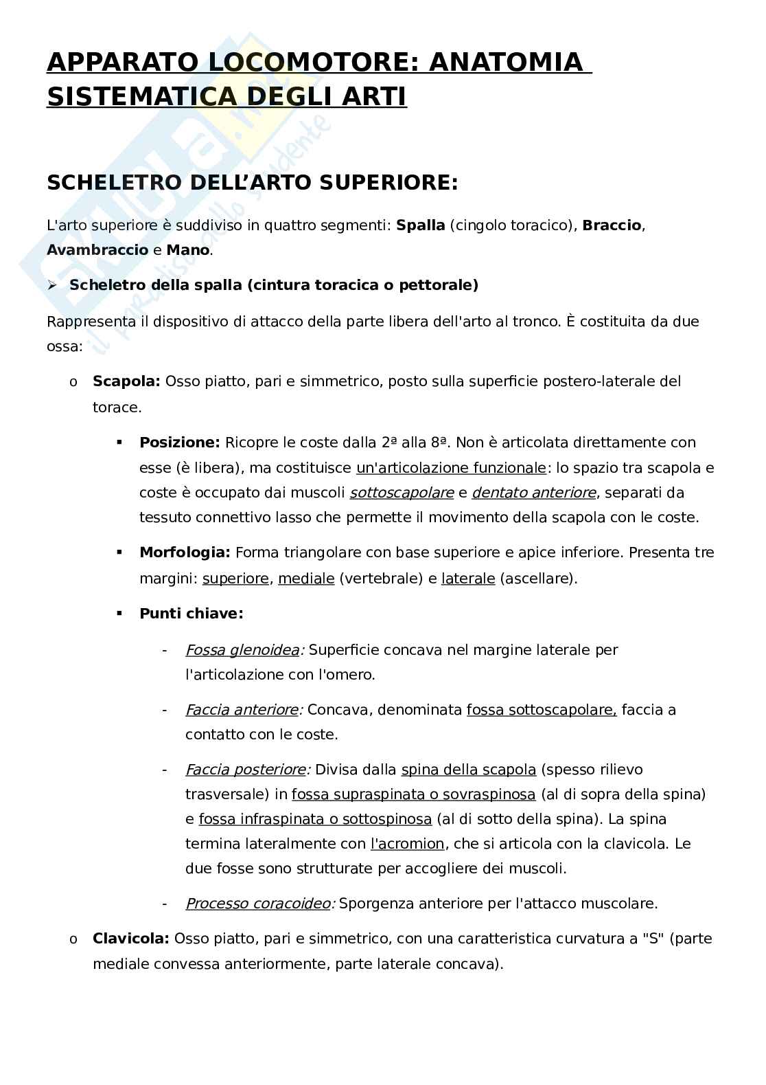 Apparato Locomotore, anatomia degli arti Pag. 1