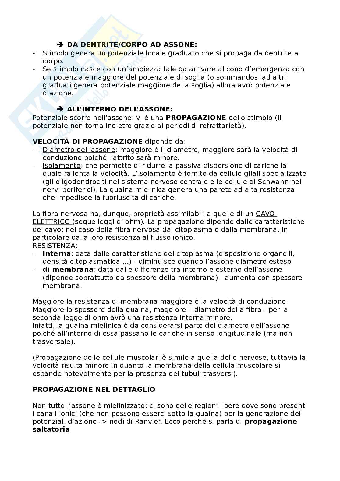 Fisiologia umana Pag. 16