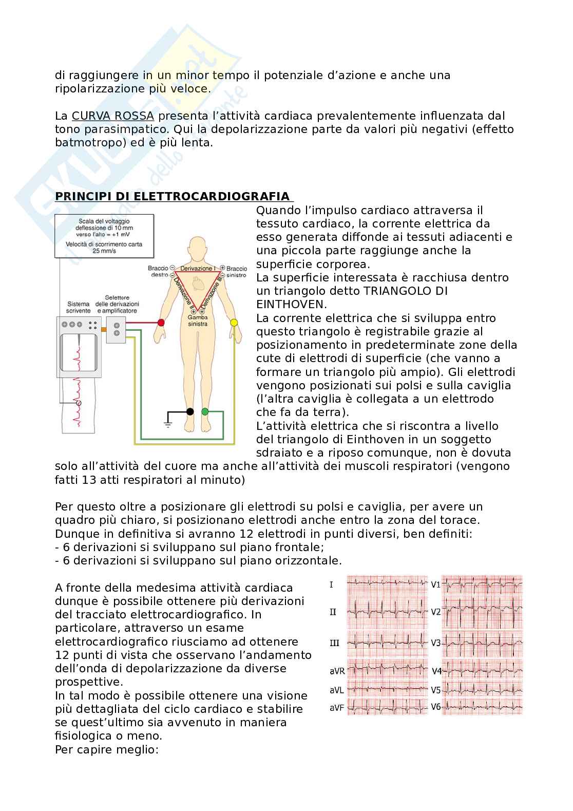 Fisiologia umana Pag. 66