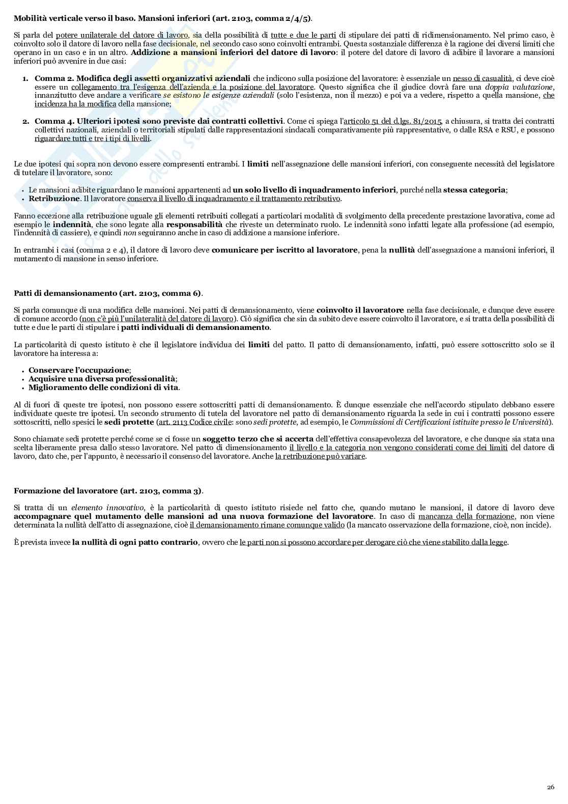 Esame di Diritto del lavoro e sindacale - Programma integrale  Pag. 26