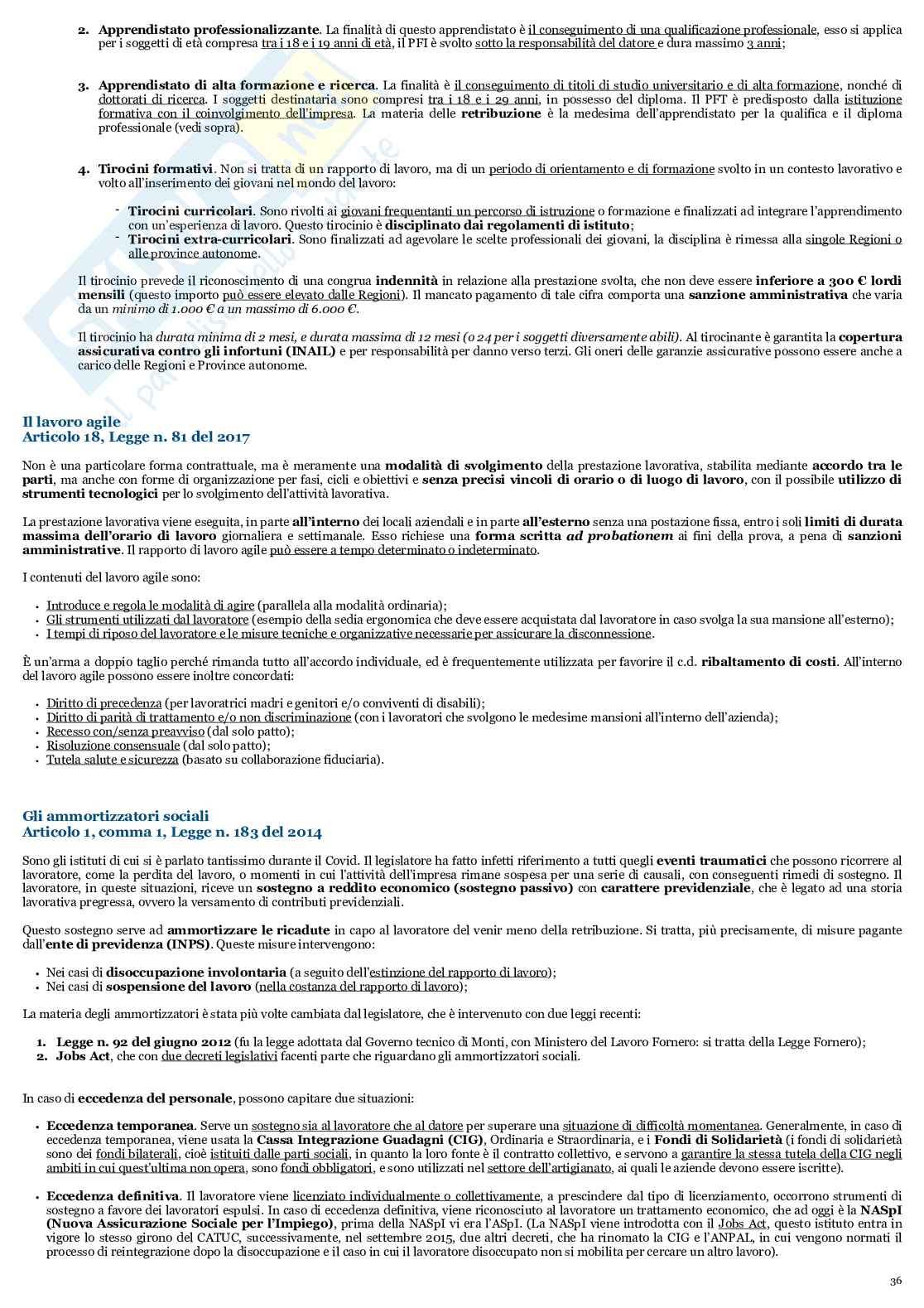 Esame di Diritto del lavoro e sindacale - Programma integrale  Pag. 36