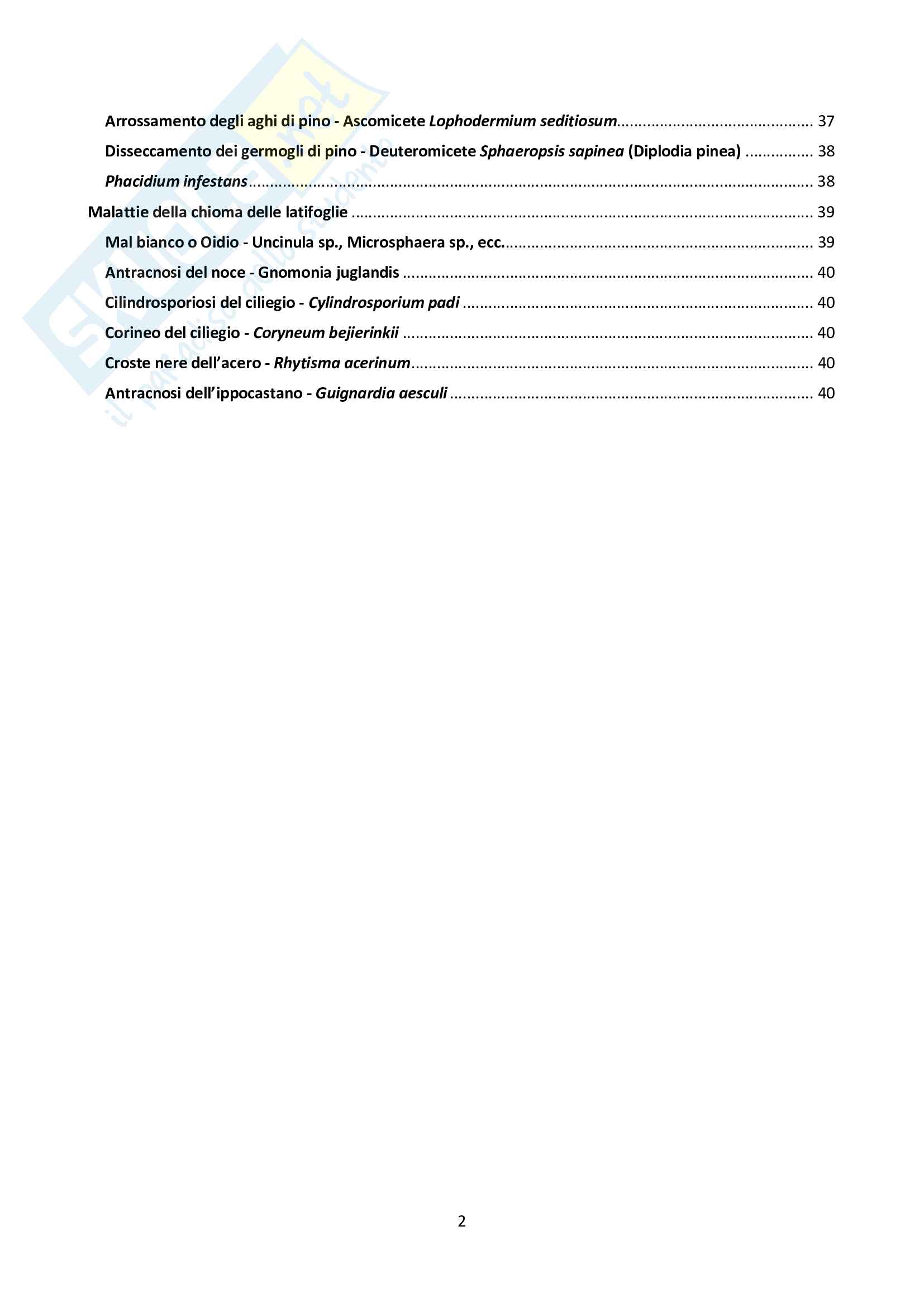 Patologia Forestale Pag. 2