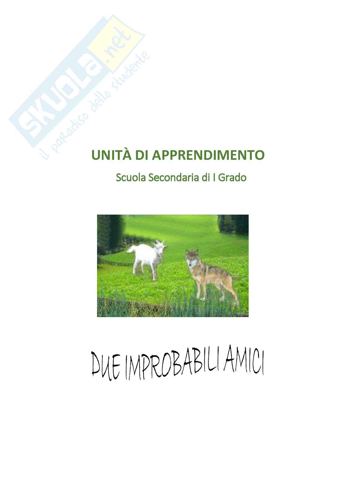 Esempio UDA lezione simulata per la scuola secondaria di primo grado e concorsi pubblici dal titolo Due improbabili amici Pag. 1