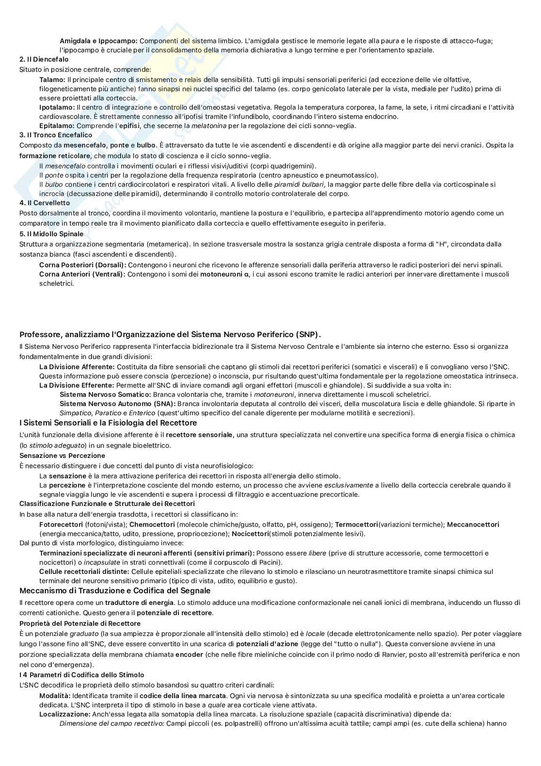 Fisiologia umana Pag. 11