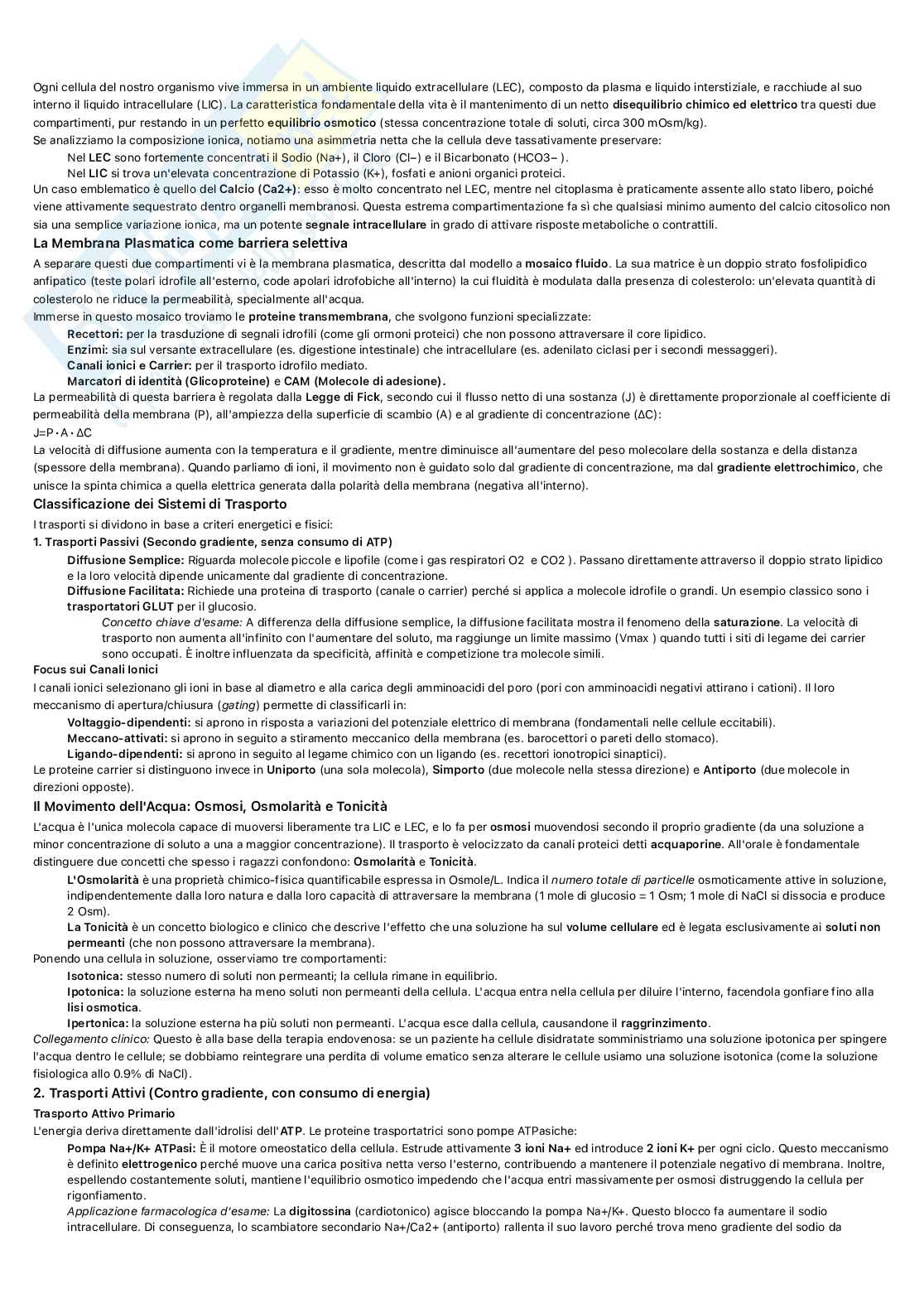 Fisiologia umana Pag. 2