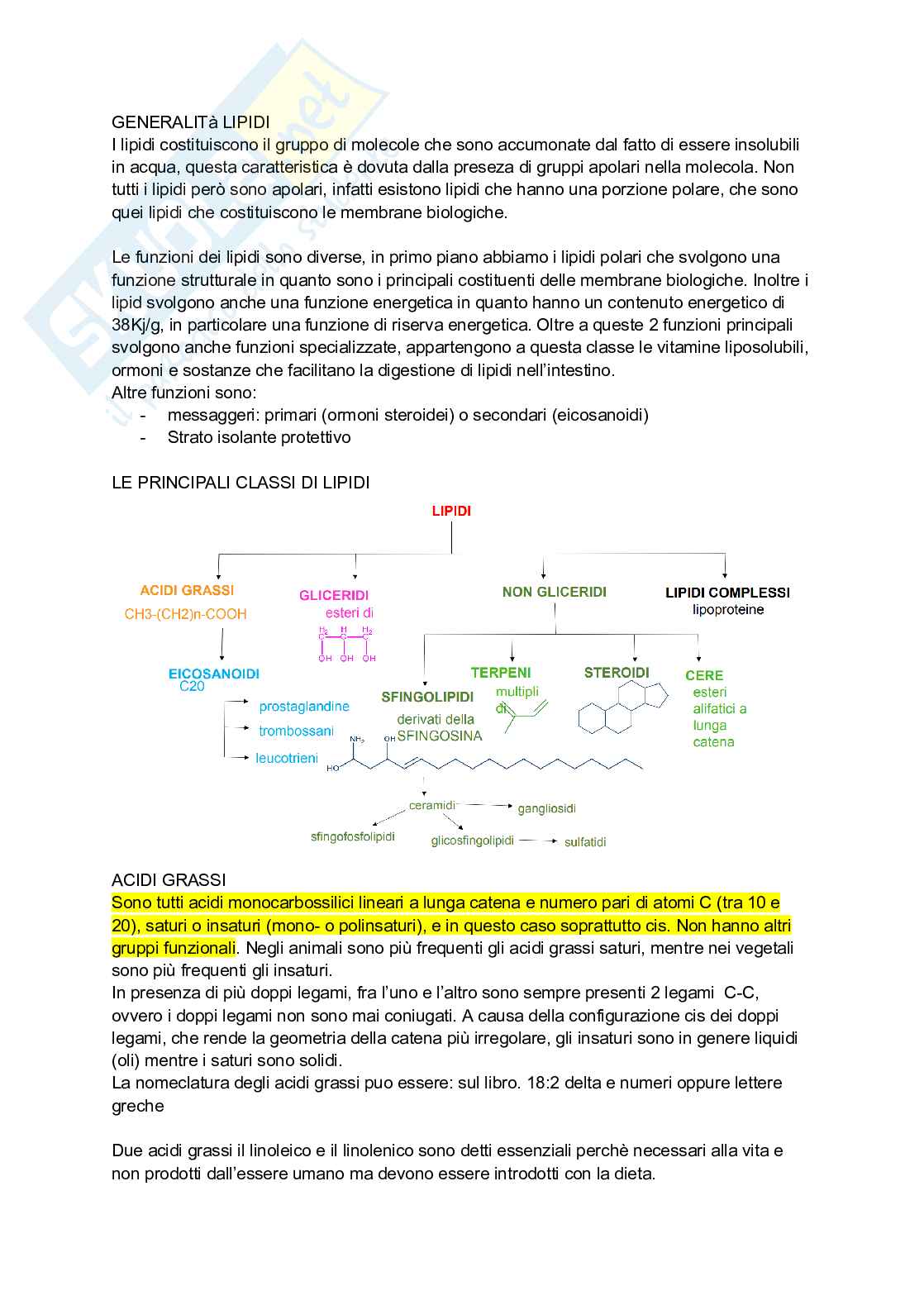 Appunti di Chimica sui lipidi Pag. 1