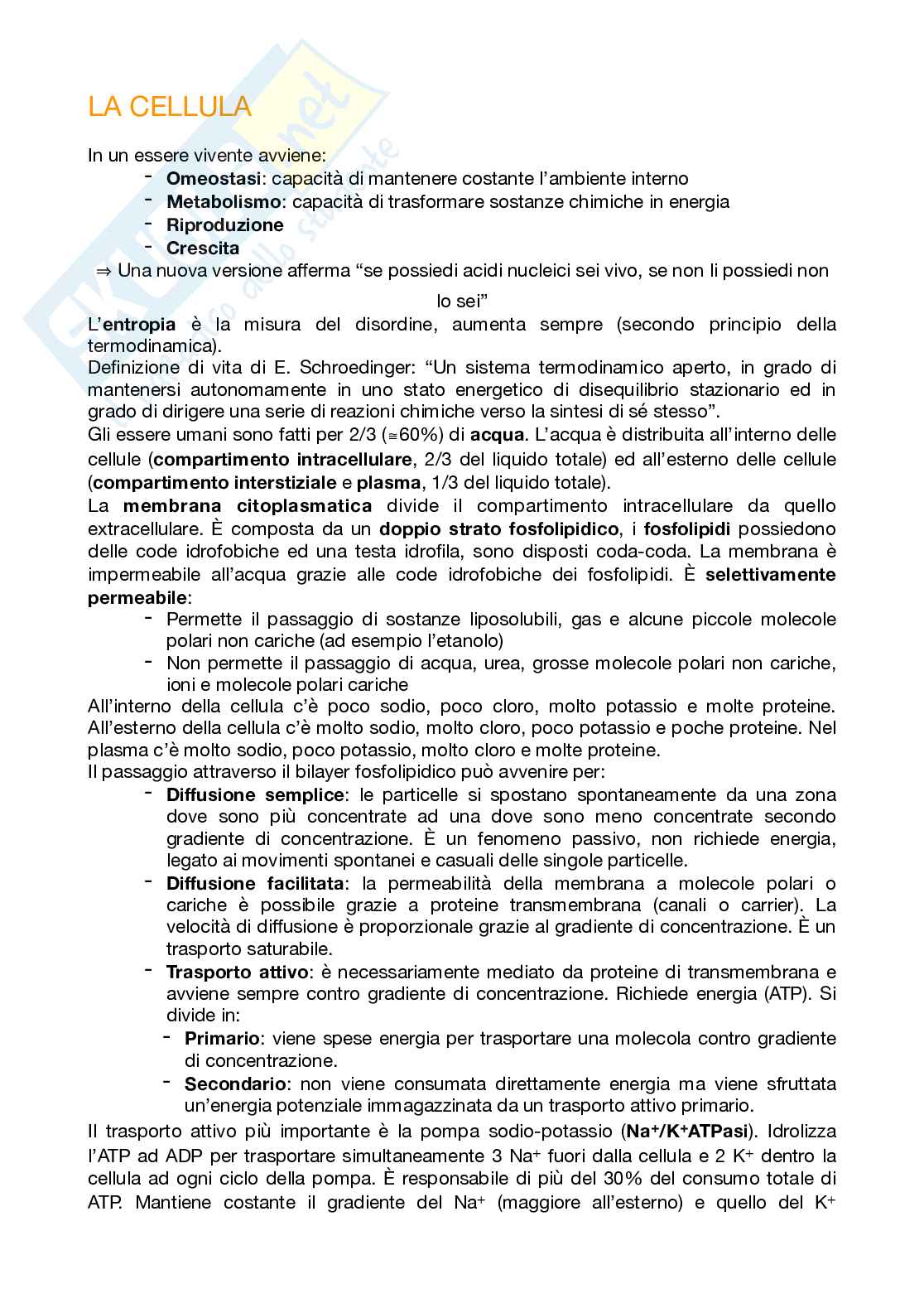 Appunti di Basi biologiche del comportamento Pag. 2