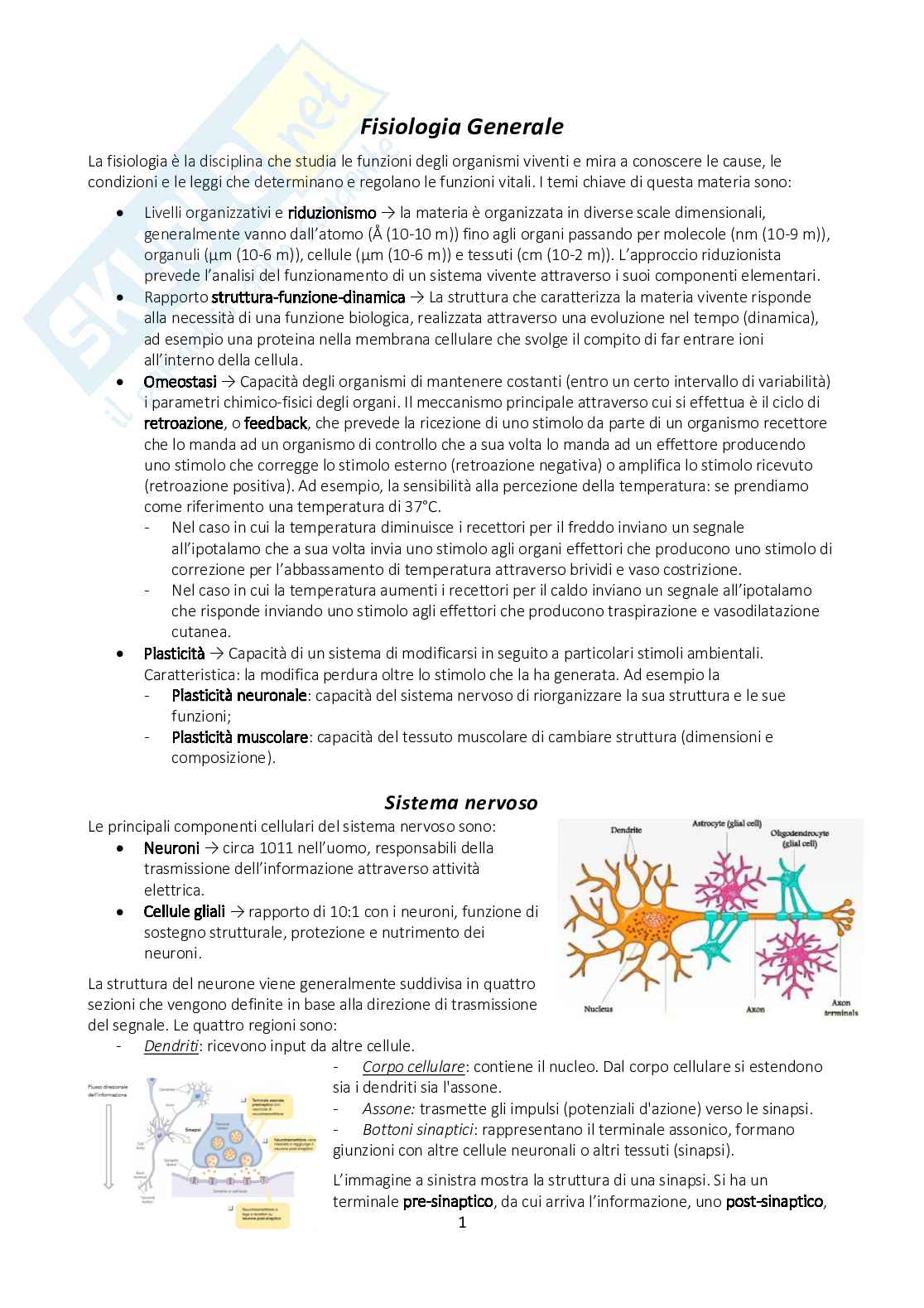 Appunti di Fisiologia generale con immagini annesse Pag. 1