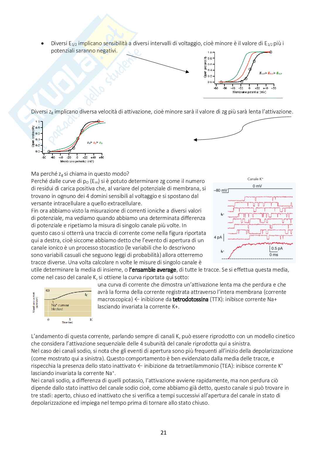 Appunti di Fisiologia generale con immagini annesse Pag. 21