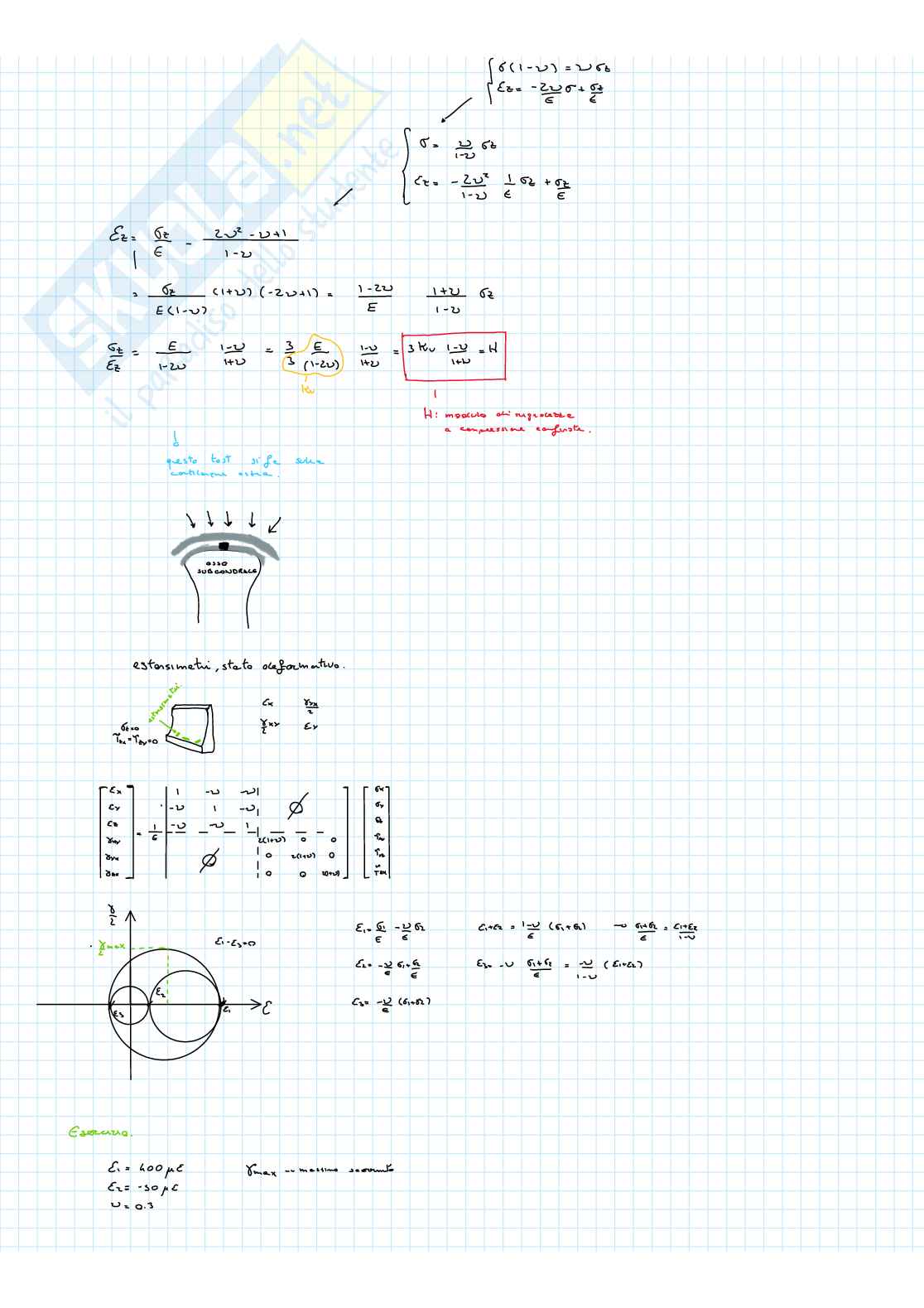 Biomeccanica Pag. 56