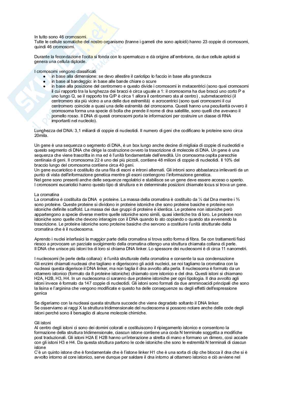 Unità didattica 2 semestre filtro medicina Pag. 2