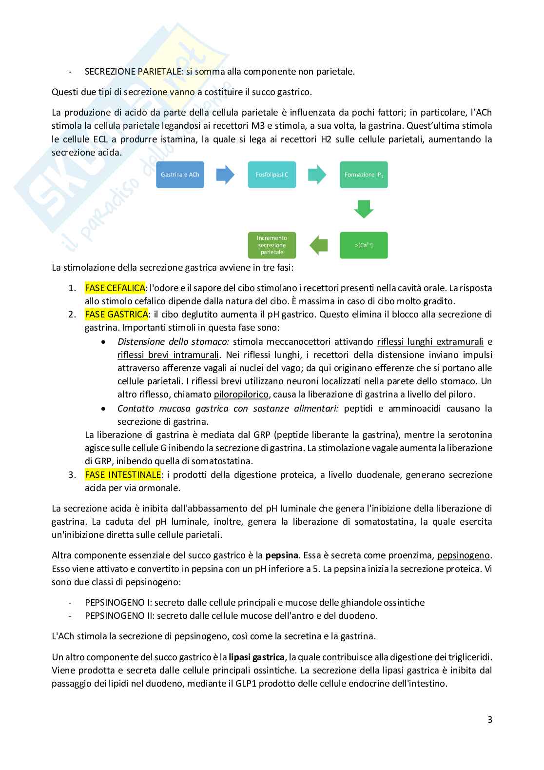 Riassunto esame Fisiologia, Prof. Conti Fiorenzo, libro consigliato Fisiologia umana, Conti Pag. 11
