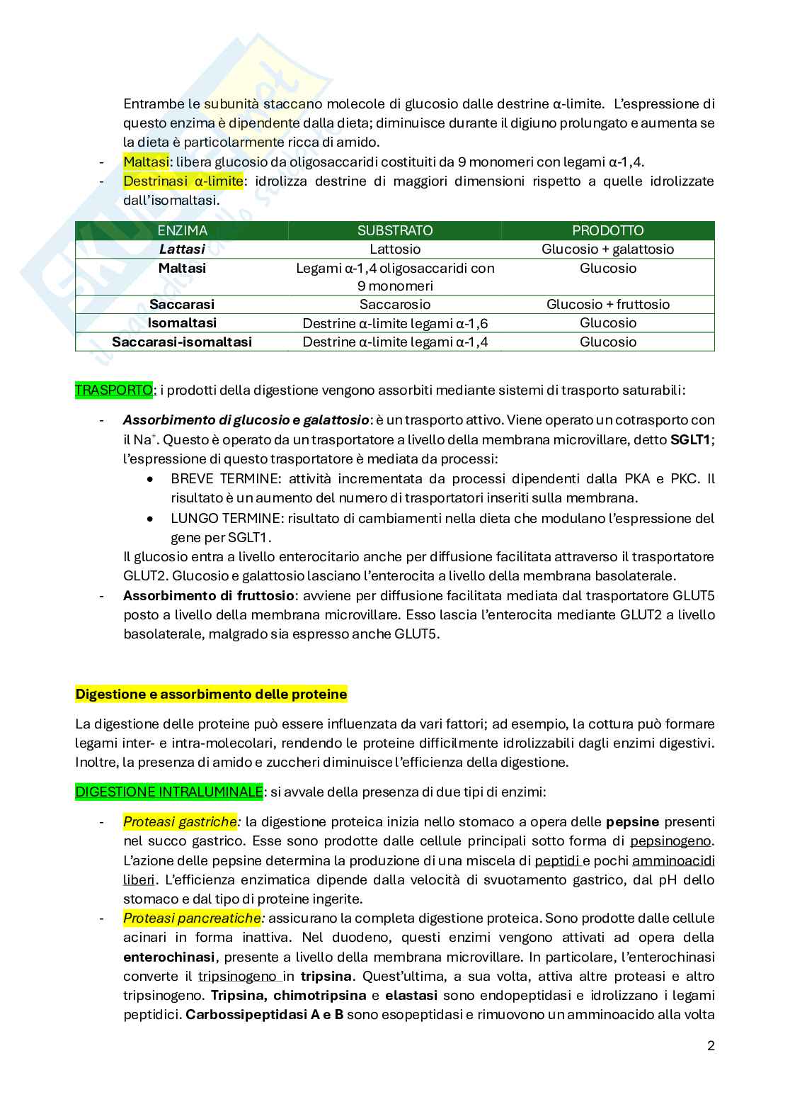 Riassunto esame Fisiologia, Prof. Conti Fiorenzo, libro consigliato Fisiologia umana, Conti Pag. 16