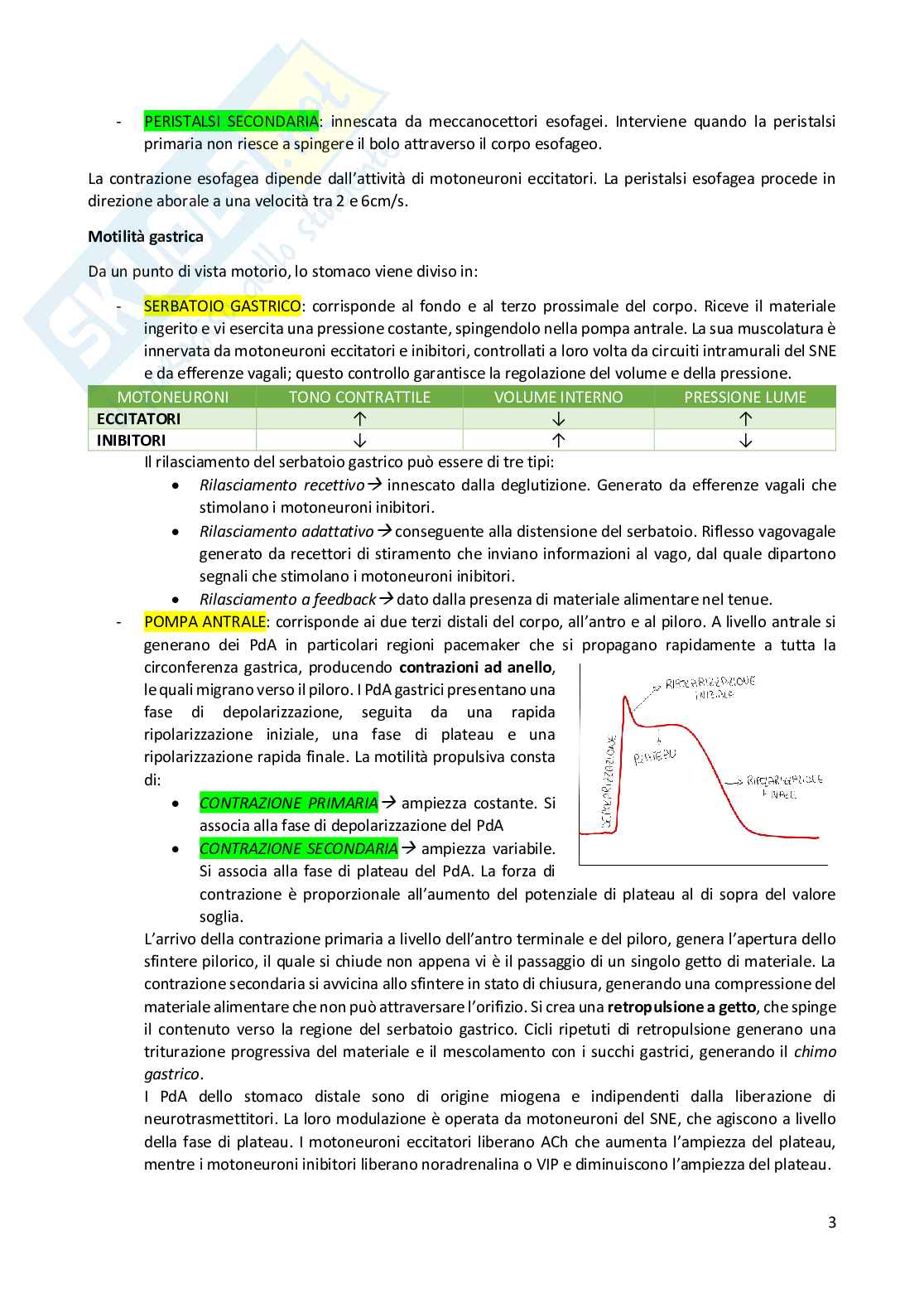 Riassunto esame Fisiologia, Prof. Conti Fiorenzo, libro consigliato Fisiologia umana, Conti Pag. 6