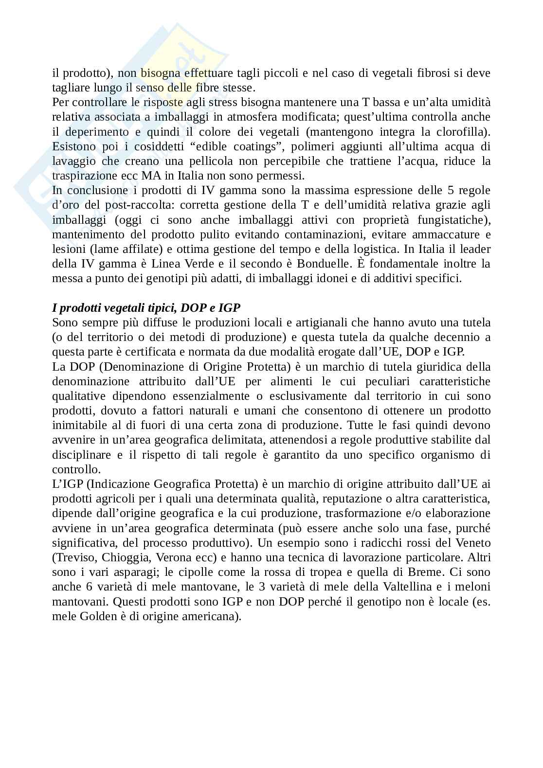 Appunti di fisiologia e qualita dei prodotti ortofrutticoli Pag. 31