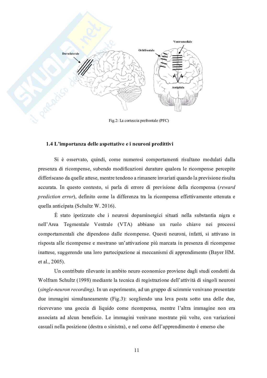 Tesi in Neurofinanza - L'influenza ormonale sulla performance dell'Investitore nei mercati finanziari Pag. 11