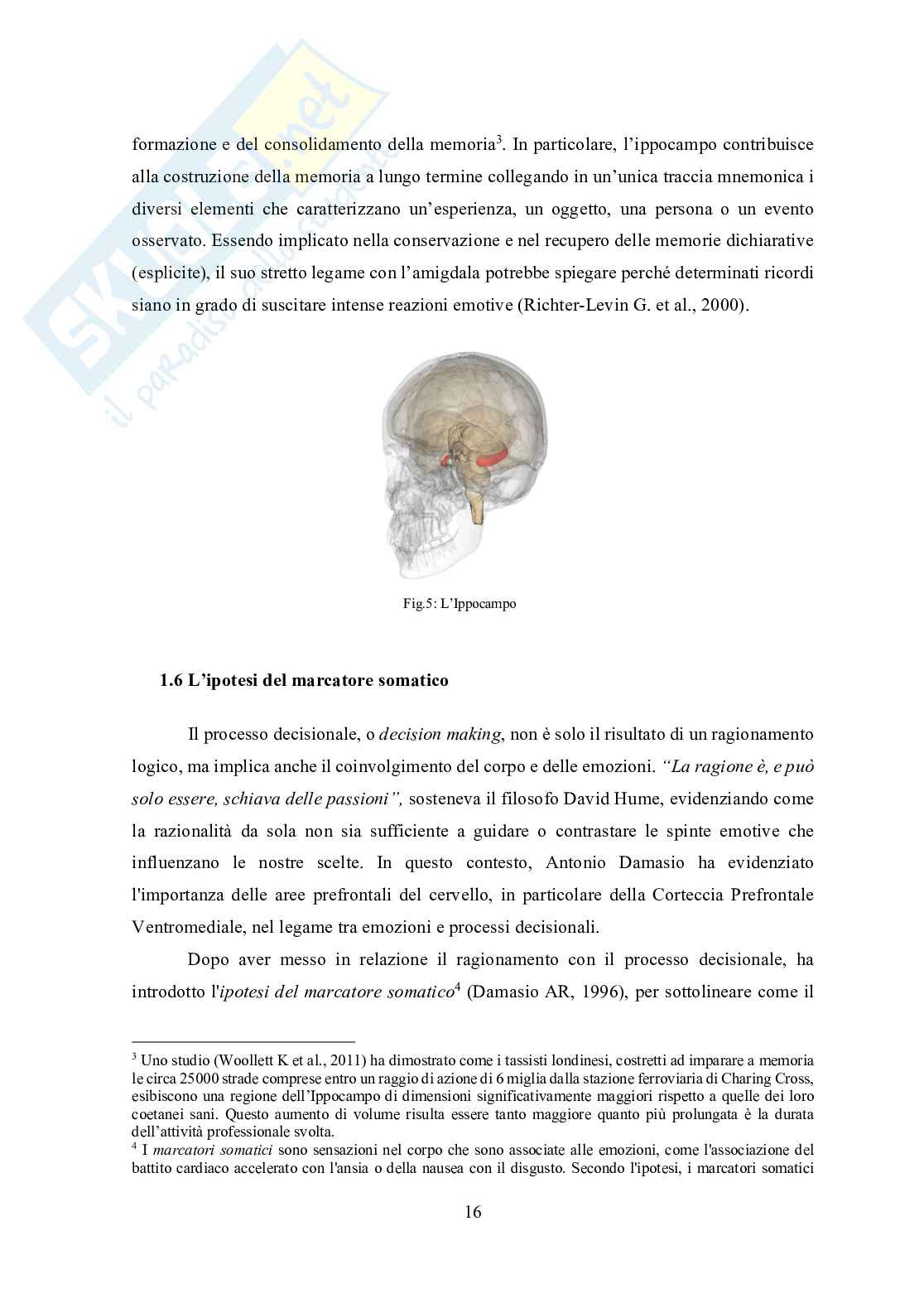 Tesi in Neurofinanza - L'influenza ormonale sulla performance dell'Investitore nei mercati finanziari Pag. 16