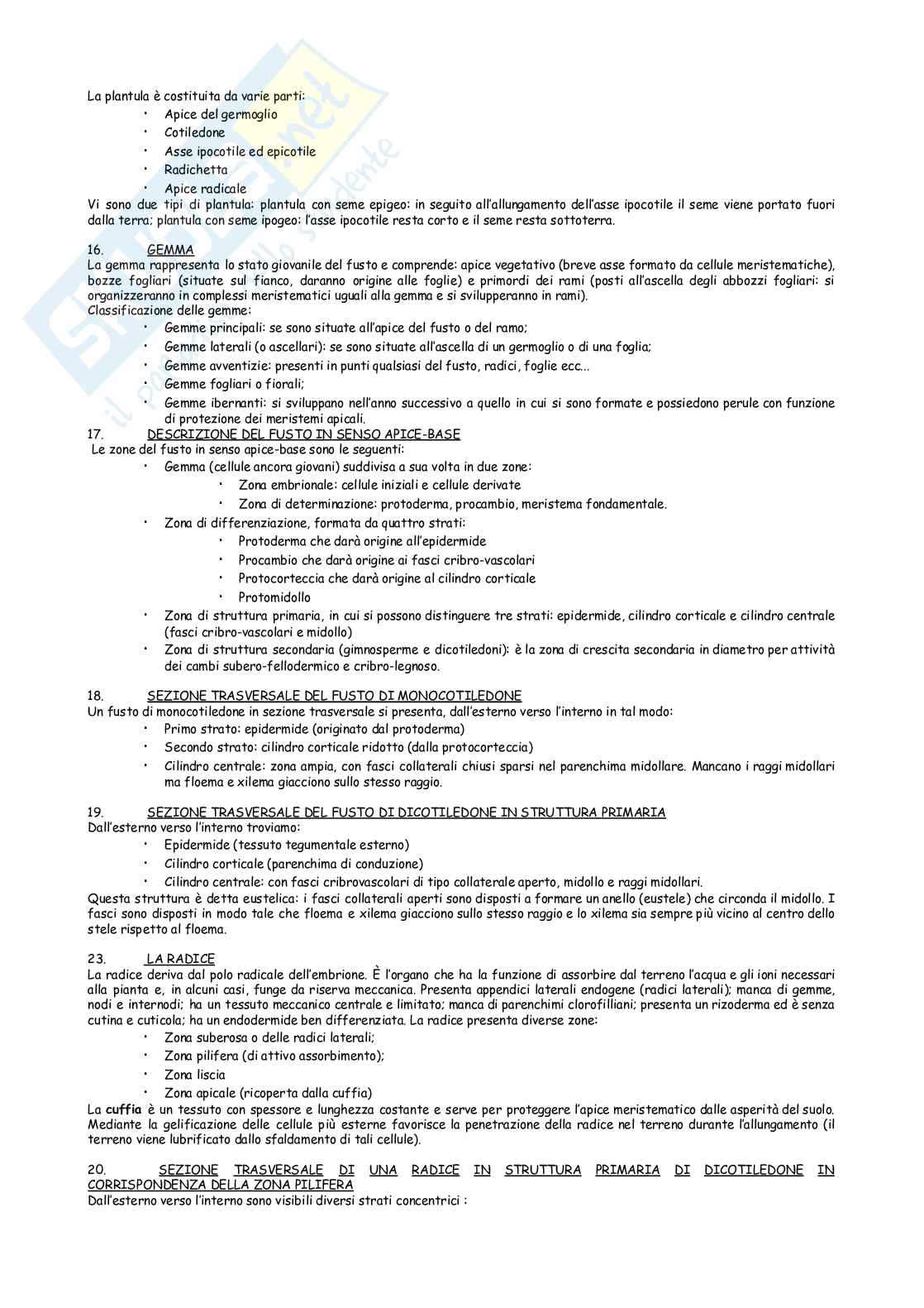 Appunti Botanica generale Pag. 11