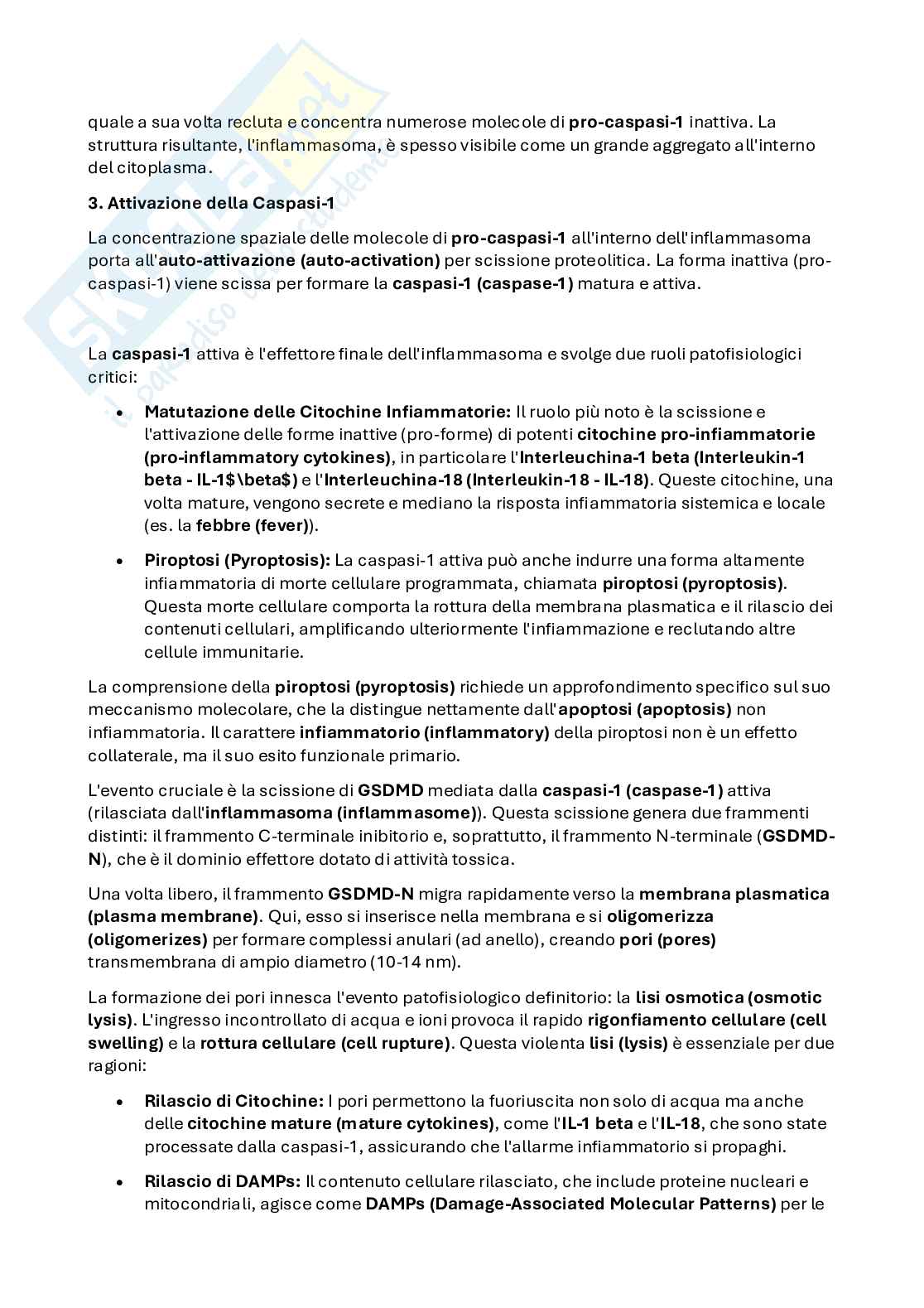 Appunti di Patologia generale  Pag. 16