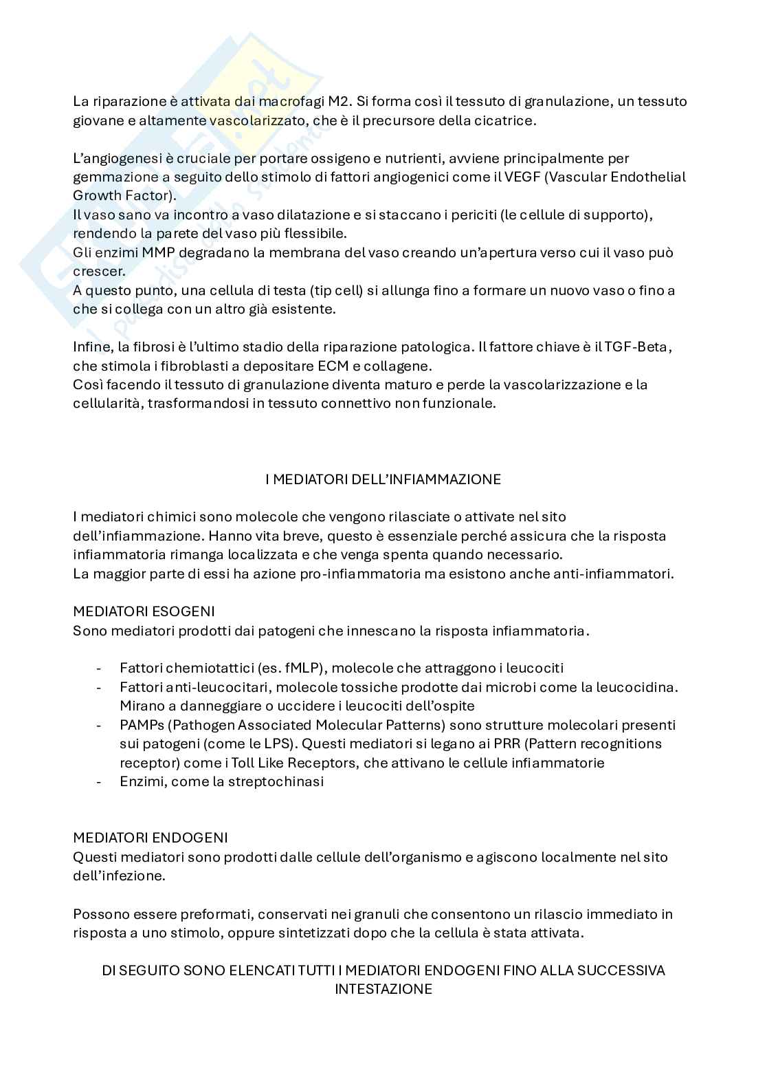 Appunti di Patologia generale  Pag. 6
