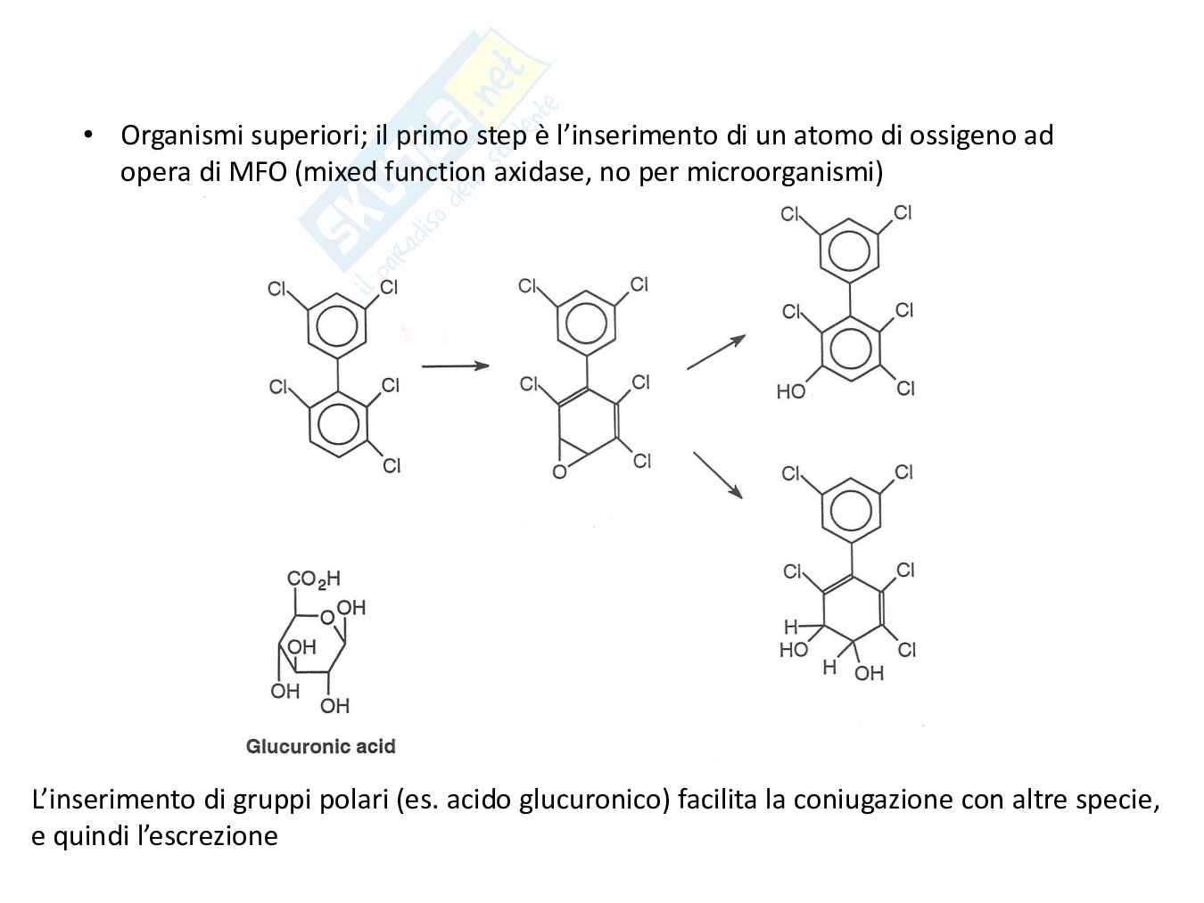 Chimica ambientale - Prima parte  Pag. 51
