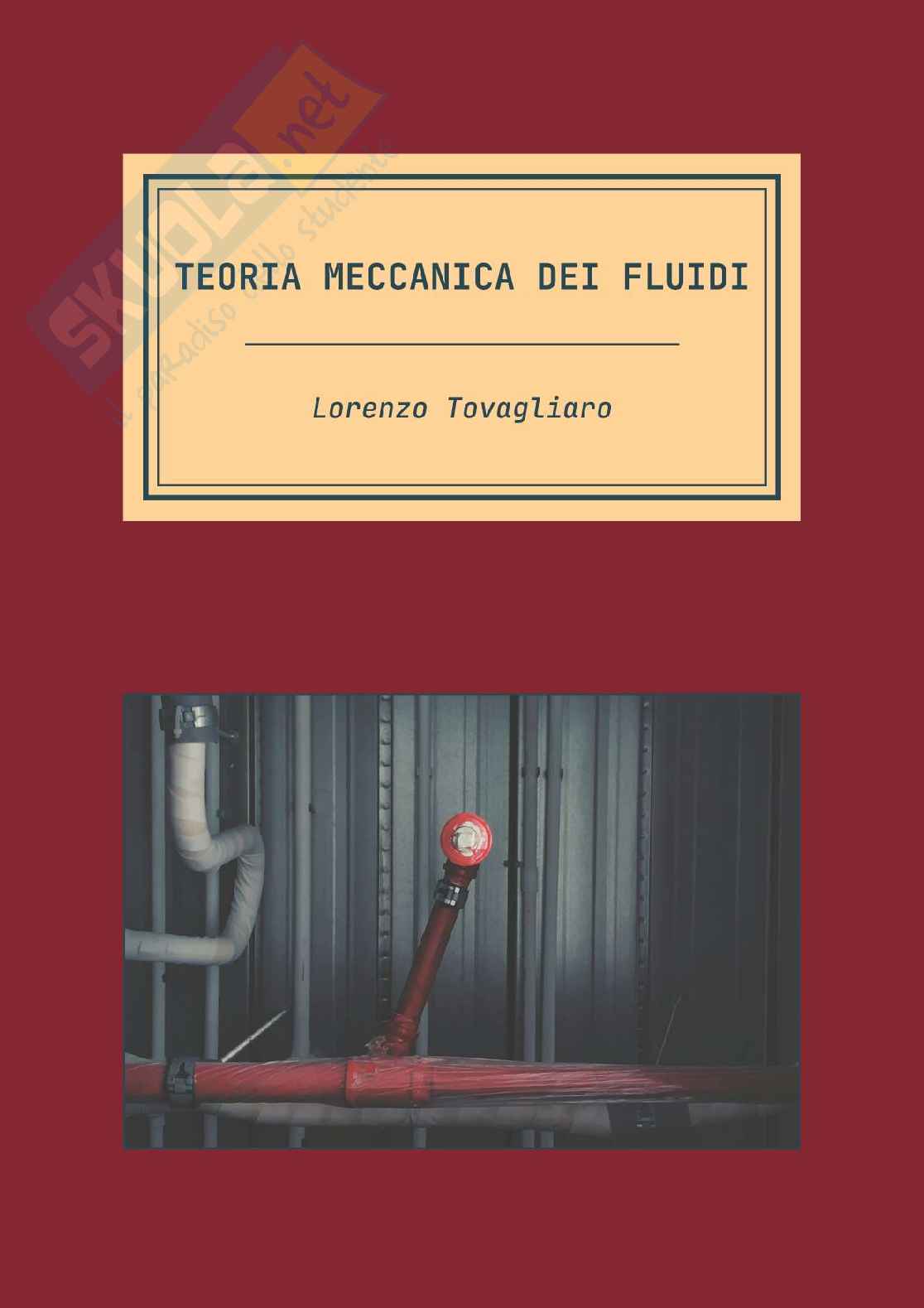 Meccanica dei fluidi Pag. 1