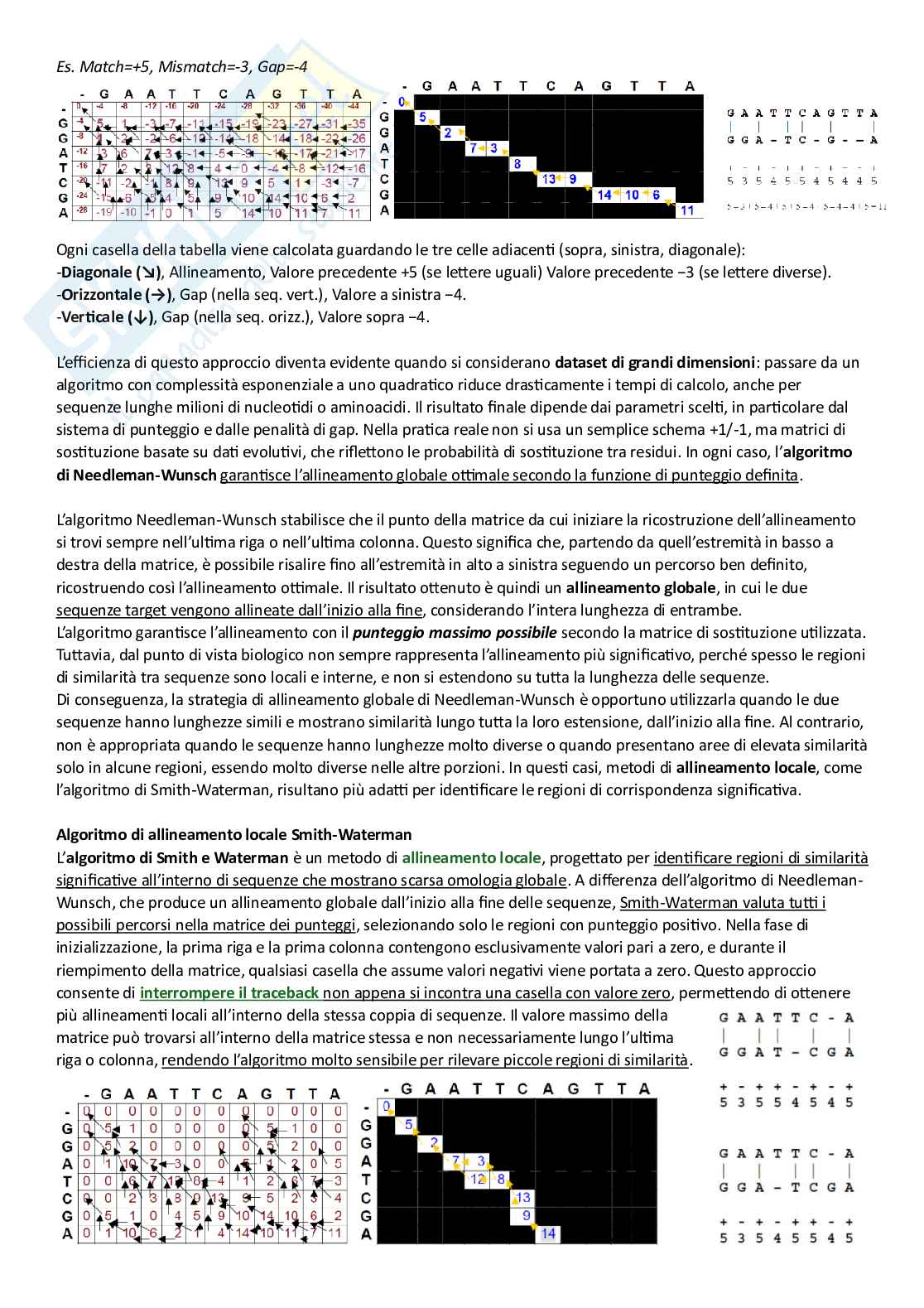 Appunti di bioinformatica del prof Di Muccio Pag. 11