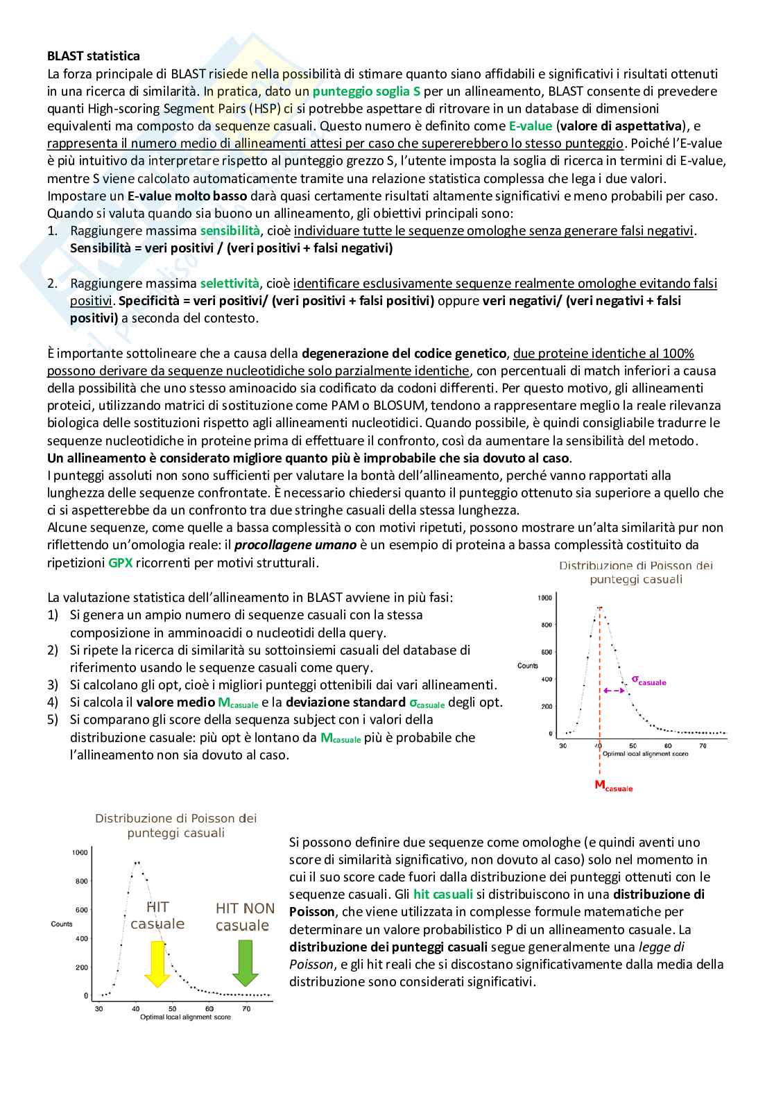 Appunti di bioinformatica del prof Di Muccio Pag. 16