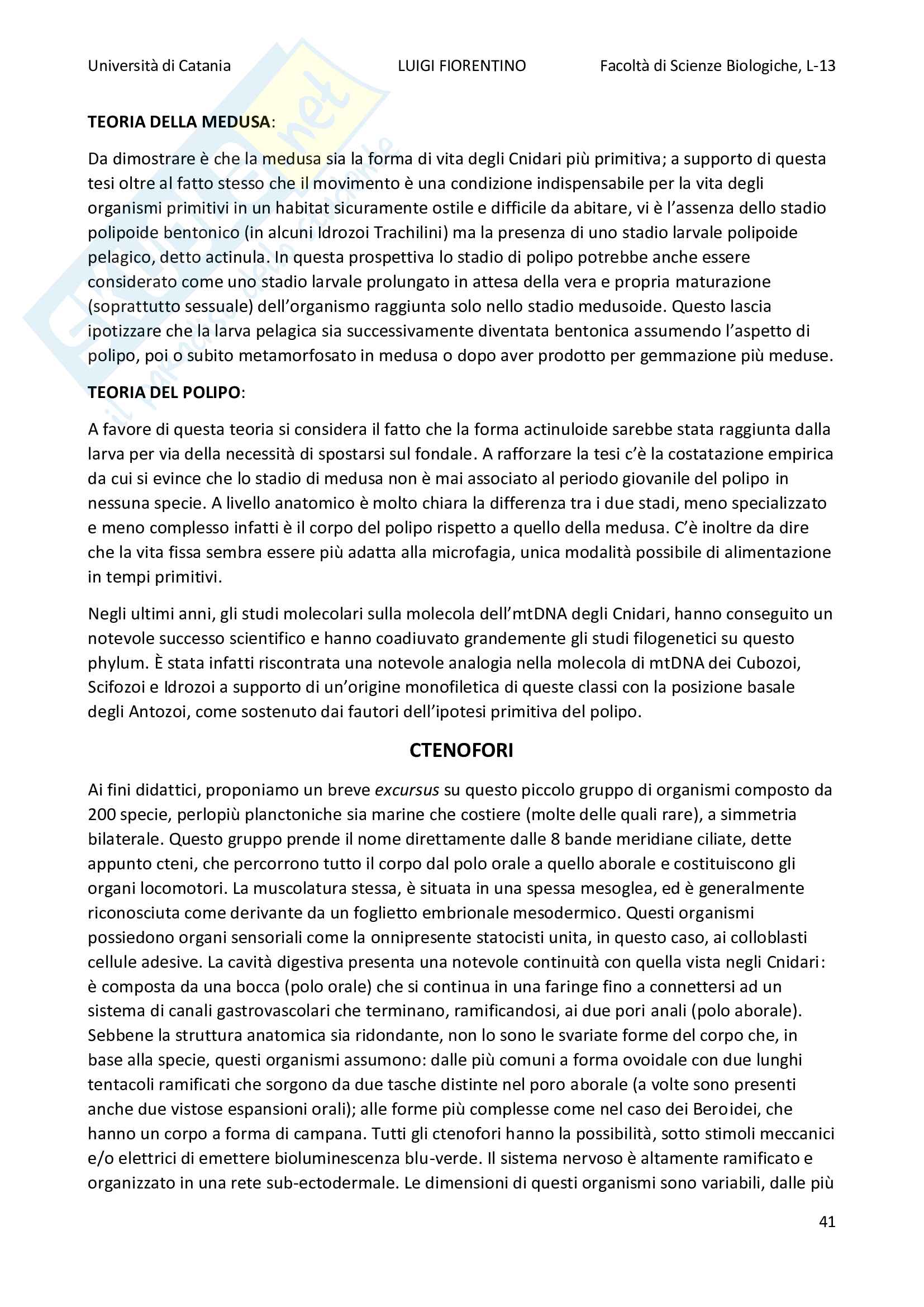 Riassunti di Zoologia corso completo Pag. 41