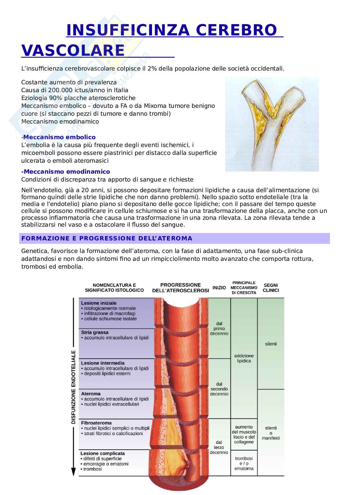 Chirurgia vascolare Pag. 11