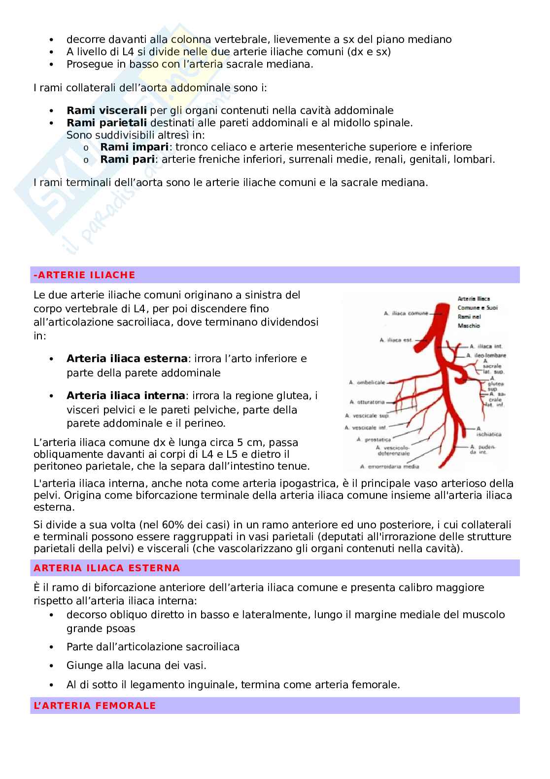 Chirurgia vascolare Pag. 6