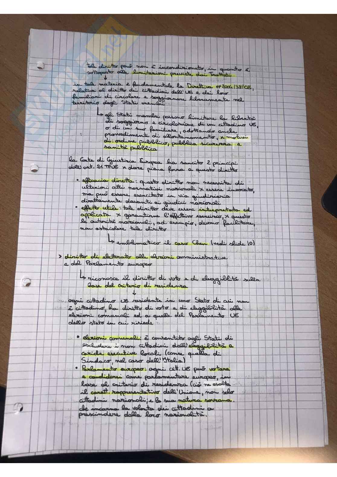 Appunti Diritto dell'Unione Europea - Carta Pag. 11