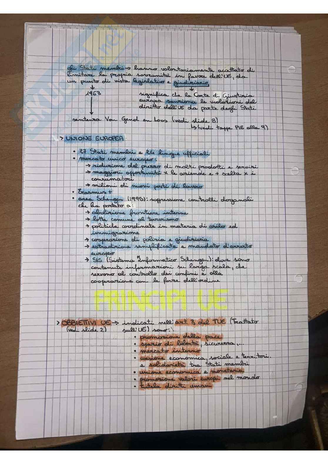 Appunti Diritto dell'Unione Europea - Carta Pag. 2