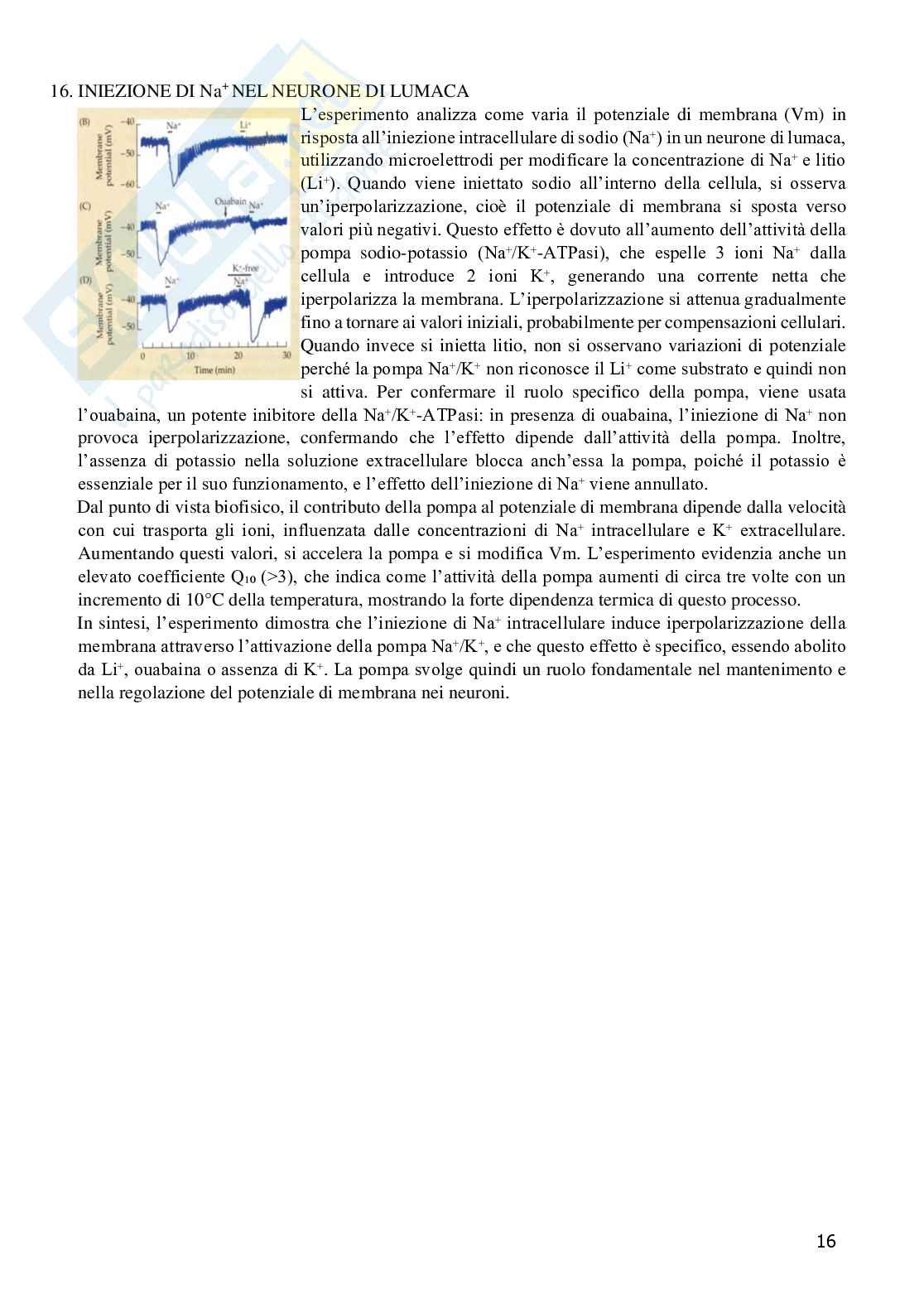 Grafici di Fisiologia generale  Pag. 16