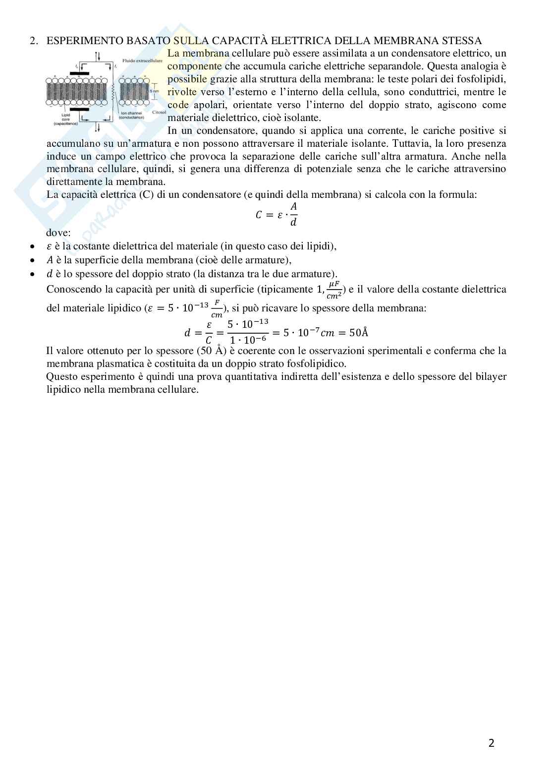 Grafici di Fisiologia generale  Pag. 2