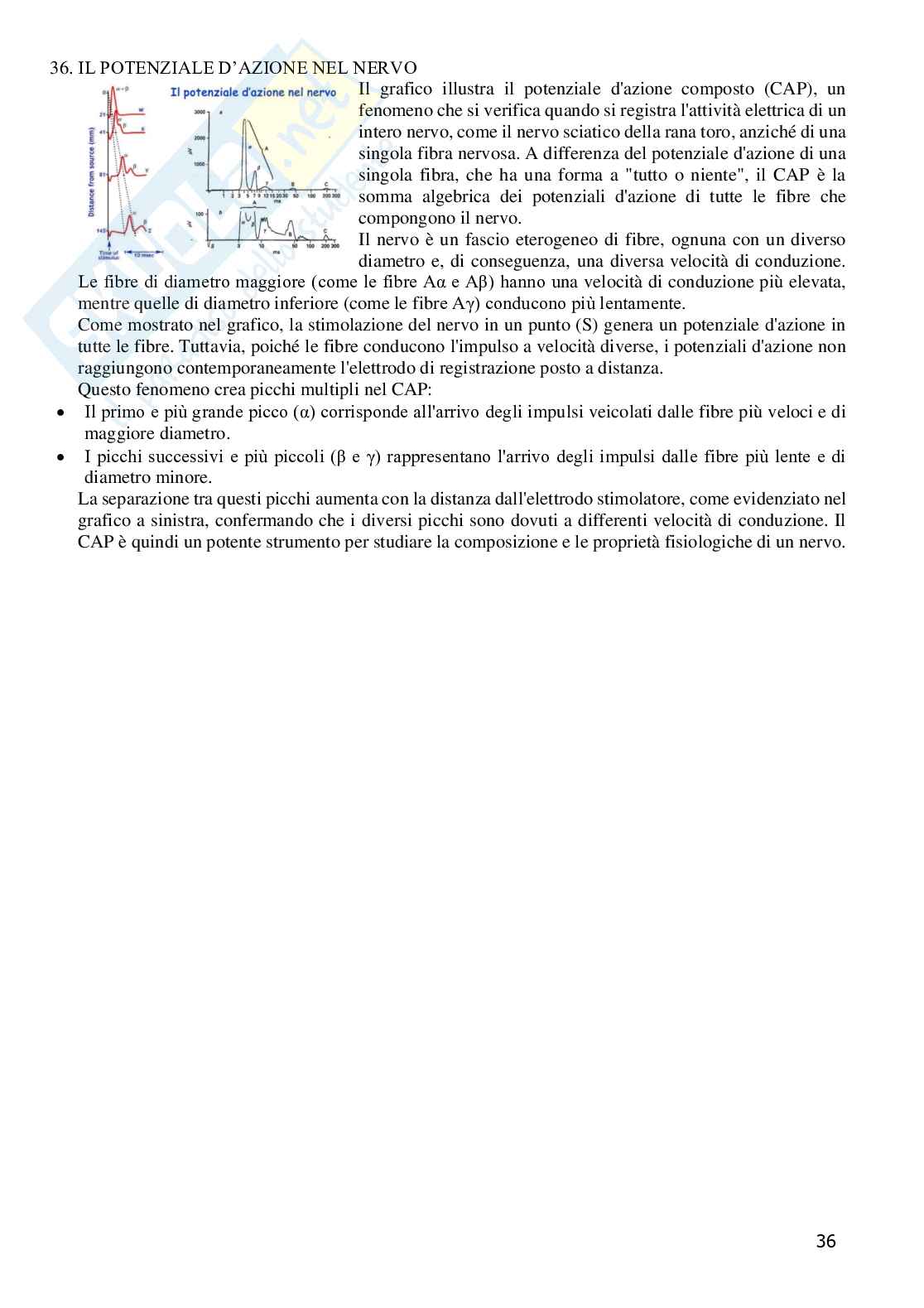 Grafici di Fisiologia generale  Pag. 36