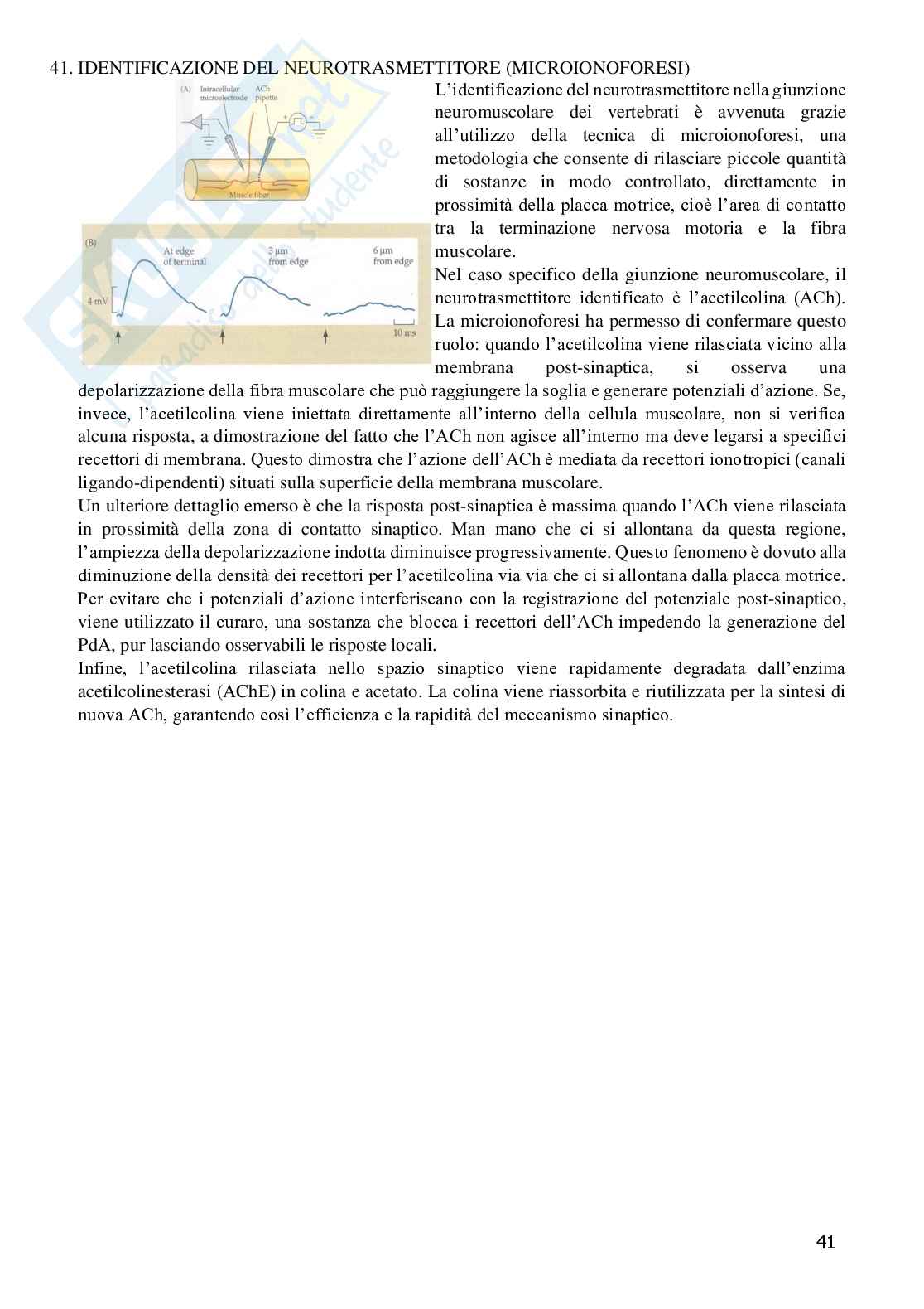 Grafici di Fisiologia generale  Pag. 41