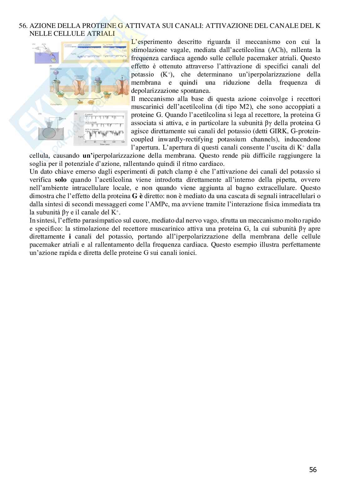 Grafici di Fisiologia generale  Pag. 56