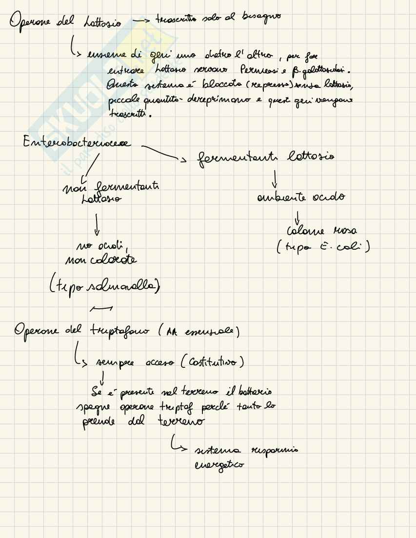 Microbiologia  Pag. 6