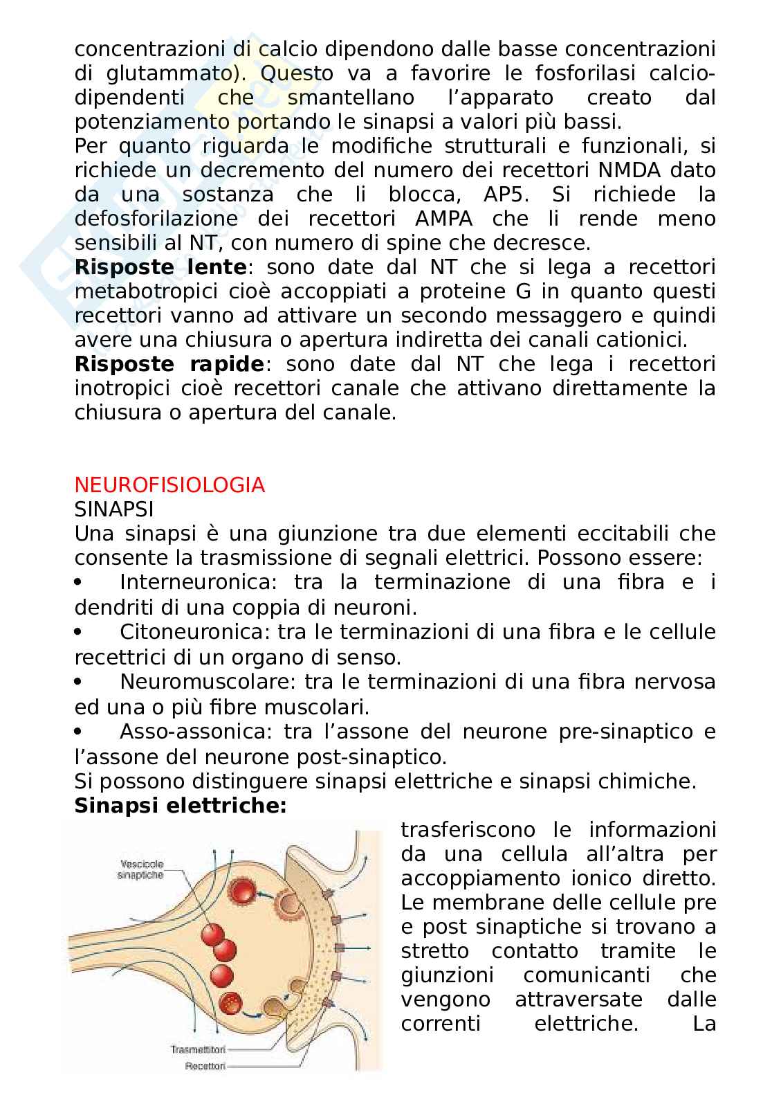 Fisiologia umana Pag. 26