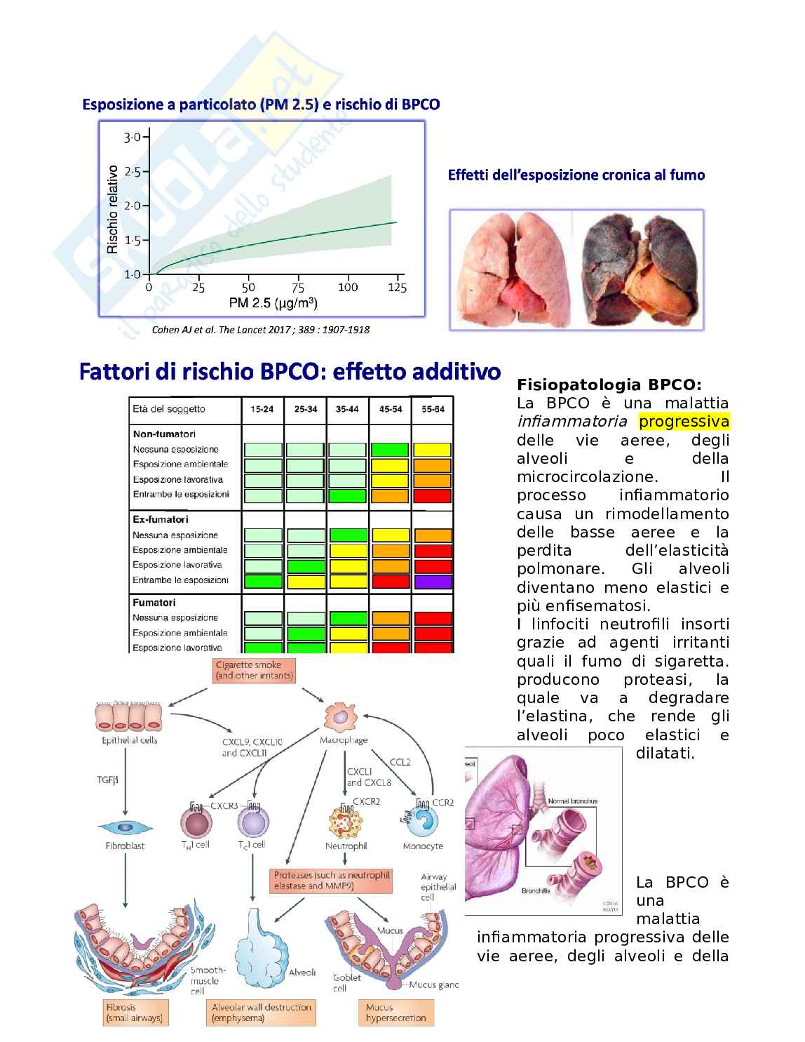 Appunti Medicina generale - BPCO e Asma  Pag. 2