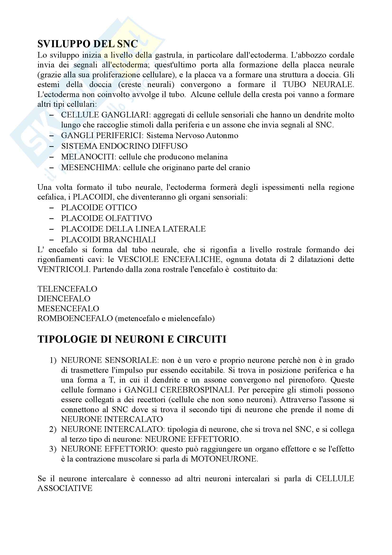 Anatomia Comparata, Sistema Nervoso (Prof. Delfino) Pag. 2
